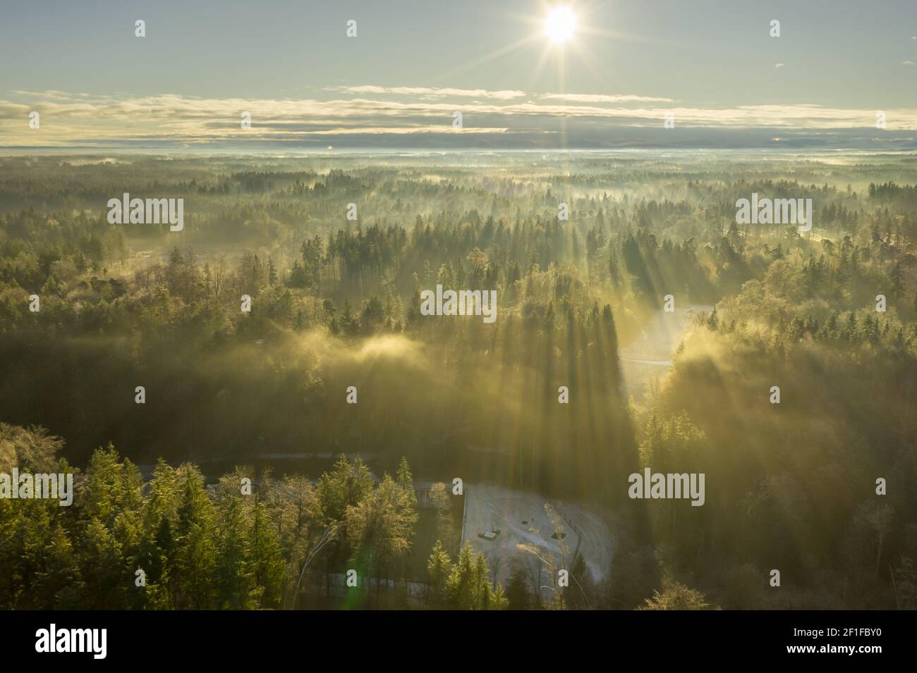 Meravigliosa mattina nebbia con vista aerea su una foresta nebbiosa durante la stagione invernale, mentre il sole sta riscaldando le cime degli alberi. Foto Stock