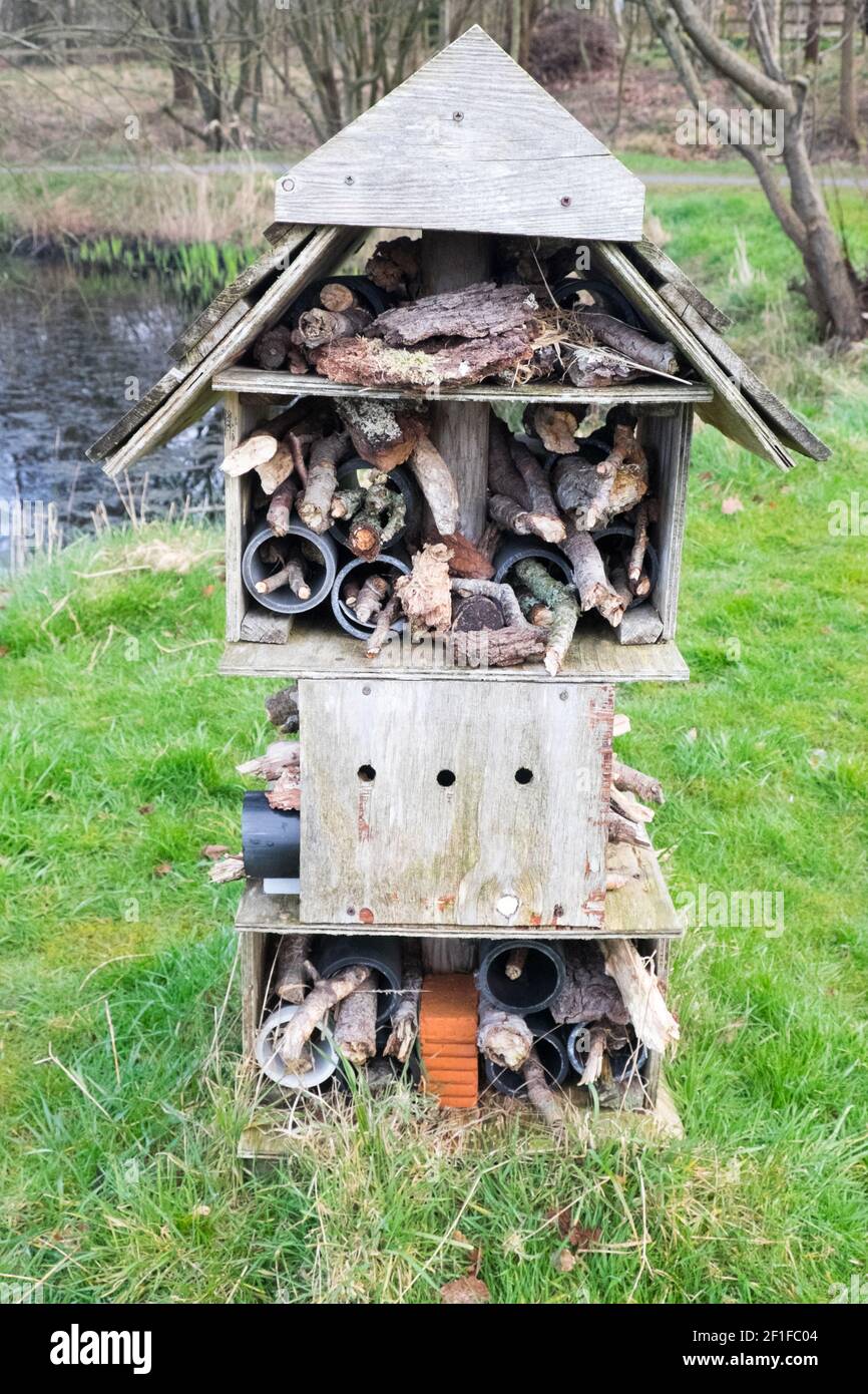 Llanilar Vicarage Lake, progetto comunitario, migliorato, desolato, in, villaggio di Llanilar, Ceredigion. Il lago ha un sacco di fauna selvatica e un grande, insetto, bug hotel. Nelle vicinanze si trova lo Ystwyth Trail, un 21 miglia, 34 km, percorso multiuso, utilizzato, da cani escursionisti, escursionisti, ciclisti, joggers, e in parte a cavallo, per i cavalieri. L'ex linea di sentiero collega la città costiera studentesca di Aberystwyth, ON, Cardigan Bay, a Tregaron, entrambi, in Ceredigion. Il sentiero è prevalentemente lungo il fiume Ystwtyh. Fotografia scattata tra il villaggio di Llanilar e Transgoed,rurale,campagna,scenario,Ceredigon,Galles,Galles,UK,GB, Foto Stock