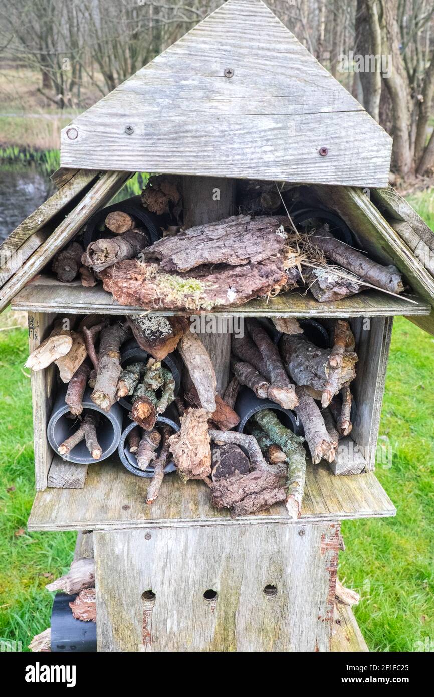Llanilar Vicarage Lake, progetto comunitario, migliorato, desolato, in, villaggio di Llanilar, Ceredigion. Il lago ha un sacco di fauna selvatica e un grande, insetto, bug hotel. Nelle vicinanze si trova lo Ystwyth Trail, un 21 miglia, 34 km, percorso multiuso, utilizzato, da cani escursionisti, escursionisti, ciclisti, joggers, e in parte a cavallo, per i cavalieri. L'ex linea di sentiero collega la città costiera studentesca di Aberystwyth, ON, Cardigan Bay, a Tregaron, entrambi, in Ceredigion. Il sentiero è prevalentemente lungo il fiume Ystwtyh. Fotografia scattata tra il villaggio di Llanilar e Transgoed,rurale,campagna,scenario,Ceredigon,Galles,Galles,UK,GB, Foto Stock