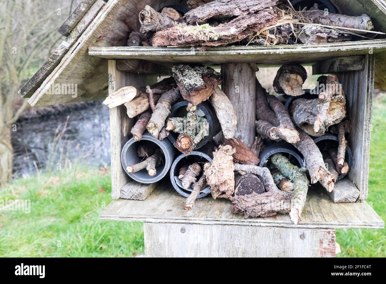 Llanilar Vicarage Lake, progetto comunitario, migliorato, desolato, in, villaggio di Llanilar, Ceredigion. Il lago ha un sacco di fauna selvatica e un grande, insetto, bug hotel. Nelle vicinanze si trova lo Ystwyth Trail, un 21 miglia, 34 km, percorso multiuso, utilizzato, da cani escursionisti, escursionisti, ciclisti, joggers, e in parte a cavallo, per i cavalieri. L'ex linea di sentiero collega la città costiera studentesca di Aberystwyth, ON, Cardigan Bay, a Tregaron, entrambi, in Ceredigion. Il sentiero è prevalentemente lungo il fiume Ystwtyh. Fotografia scattata tra il villaggio di Llanilar e Transgoed,rurale,campagna,scenario,Ceredigon,Galles,Galles,UK,GB, Foto Stock