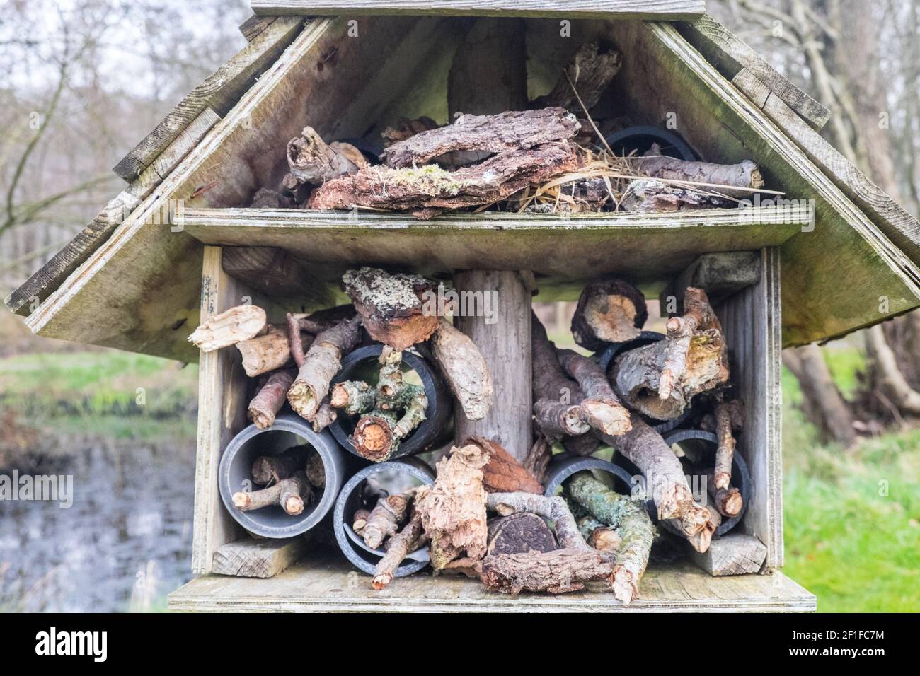 Llanilar Vicarage Lake, progetto comunitario, migliorato, desolato, in, villaggio di Llanilar, Ceredigion. Il lago ha un sacco di fauna selvatica e un grande, insetto, bug hotel. Nelle vicinanze si trova lo Ystwyth Trail, un 21 miglia, 34 km, percorso multiuso, utilizzato, da cani escursionisti, escursionisti, ciclisti, joggers, e in parte a cavallo, per i cavalieri. L'ex linea di sentiero collega la città costiera studentesca di Aberystwyth, ON, Cardigan Bay, a Tregaron, entrambi, in Ceredigion. Il sentiero è prevalentemente lungo il fiume Ystwtyh. Fotografia scattata tra il villaggio di Llanilar e Transgoed,rurale,campagna,scenario,Ceredigon,Galles,Galles,UK,GB, Foto Stock