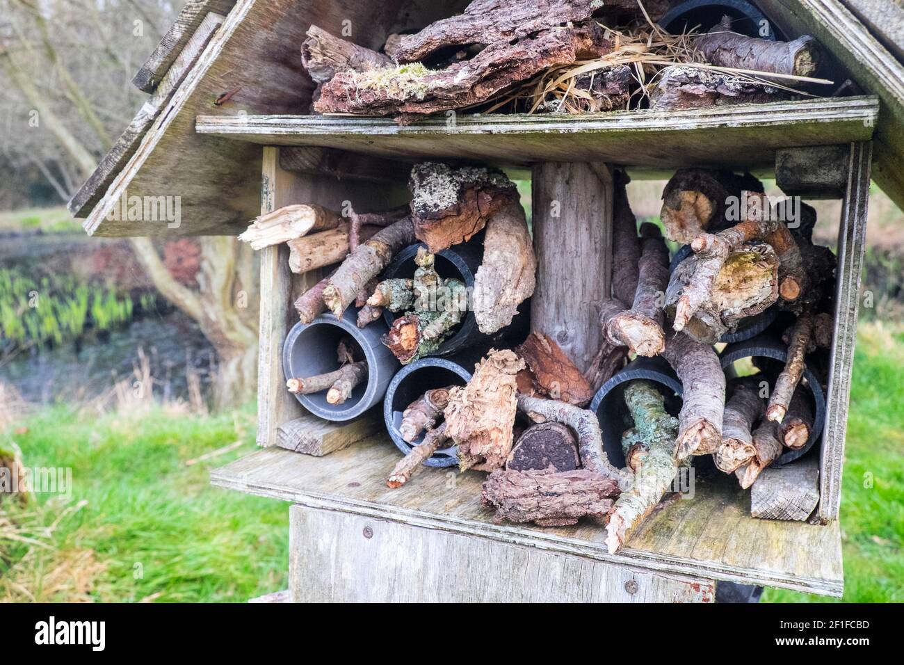 Llanilar Vicarage Lake, progetto comunitario, migliorato, desolato, in, villaggio di Llanilar, Ceredigion. Il lago ha un sacco di fauna selvatica e un grande, insetto, bug hotel. Nelle vicinanze si trova lo Ystwyth Trail, un 21 miglia, 34 km, percorso multiuso, utilizzato, da cani escursionisti, escursionisti, ciclisti, joggers, e in parte a cavallo, per i cavalieri. L'ex linea di sentiero collega la città costiera studentesca di Aberystwyth, ON, Cardigan Bay, a Tregaron, entrambi, in Ceredigion. Il sentiero è prevalentemente lungo il fiume Ystwtyh. Fotografia scattata tra il villaggio di Llanilar e Transgoed,rurale,campagna,scenario,Ceredigon,Galles,Galles,UK,GB, Foto Stock