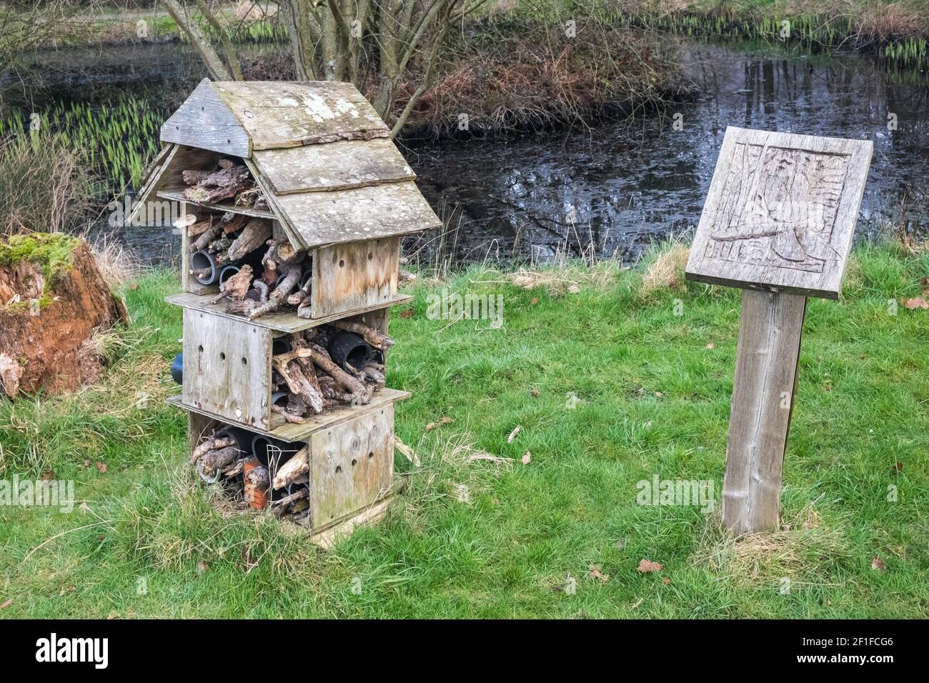 Llanilar Vicarage Lake, progetto comunitario, migliorato, desolato, in, villaggio di Llanilar, Ceredigion. Il lago ha un sacco di fauna selvatica e un grande, insetto, bug hotel. Nelle vicinanze si trova lo Ystwyth Trail, un 21 miglia, 34 km, percorso multiuso, utilizzato, da cani escursionisti, escursionisti, ciclisti, joggers, e in parte a cavallo, per i cavalieri. L'ex linea di sentiero collega la città costiera studentesca di Aberystwyth, ON, Cardigan Bay, a Tregaron, entrambi, in Ceredigion. Il sentiero è prevalentemente lungo il fiume Ystwtyh. Fotografia scattata tra il villaggio di Llanilar e Transgoed,rurale,campagna,scenario,Ceredigon,Galles,Galles,UK,GB, Foto Stock