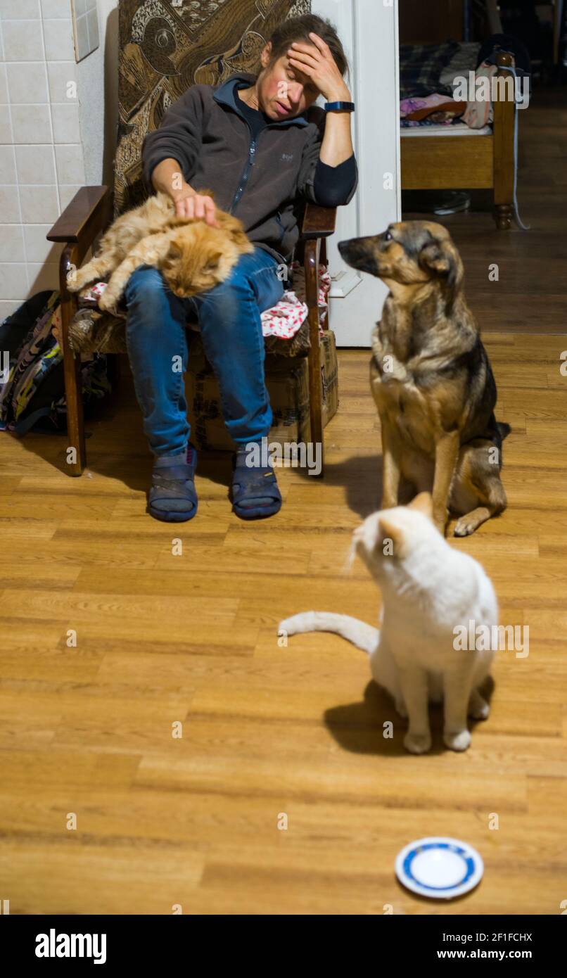Home scena con una signora stanca, due gatti e cane Foto Stock