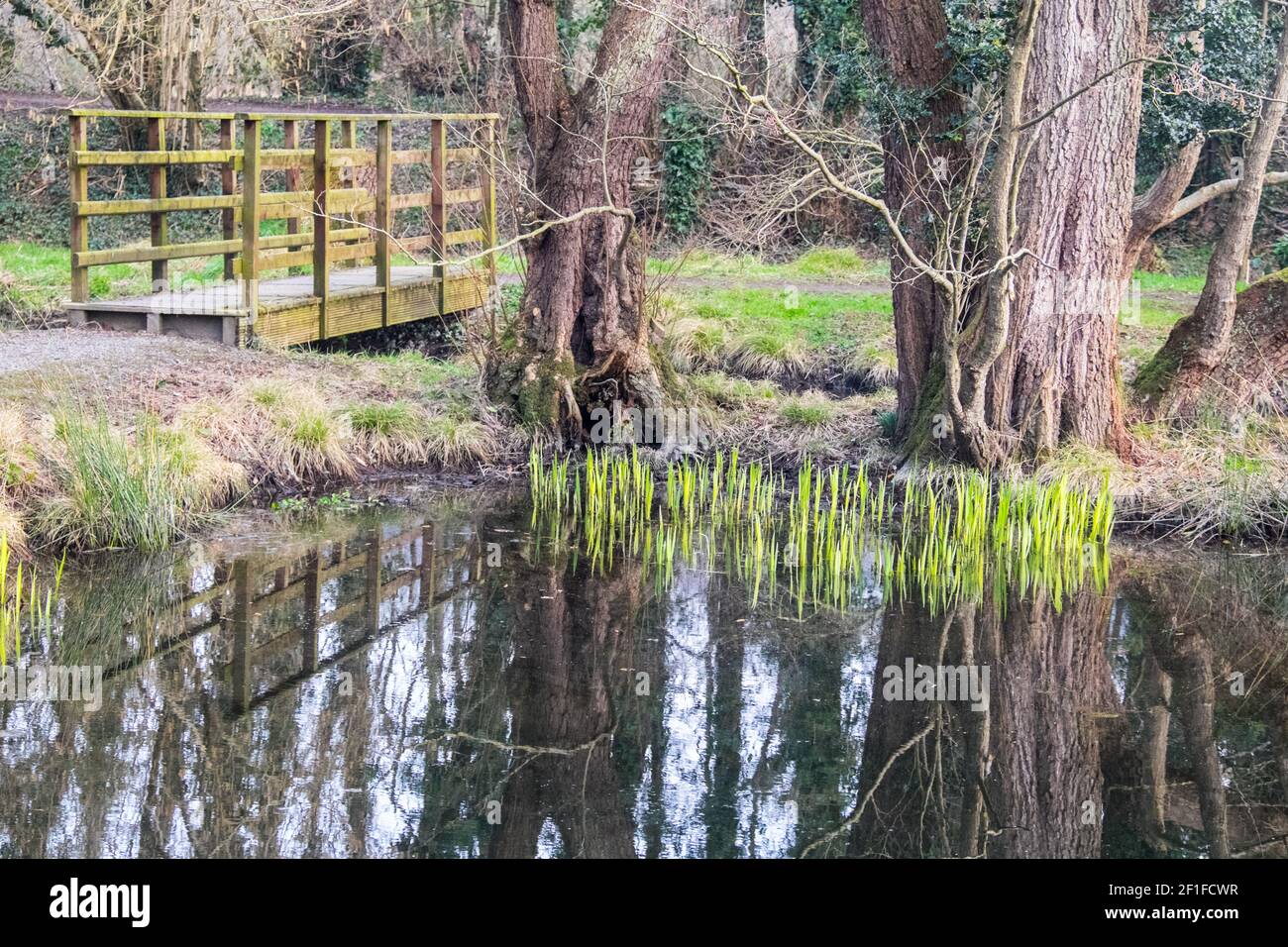 Llanilar Vicarage Lake, progetto comunitario, migliorato, desolato, in, villaggio di Llanilar, Ceredigion. Il lago ha un sacco di fauna selvatica e un grande, insetto, bug hotel. Nelle vicinanze si trova lo Ystwyth Trail, un 21 miglia, 34 km, percorso multiuso, utilizzato, da cani escursionisti, escursionisti, ciclisti, joggers, e in parte a cavallo, per i cavalieri. L'ex linea di sentiero collega la città costiera studentesca di Aberystwyth, ON, Cardigan Bay, a Tregaron, entrambi, in Ceredigion. Il sentiero è prevalentemente lungo il fiume Ystwtyh. Fotografia scattata tra il villaggio di Llanilar e Transgoed,rurale,campagna,scenario,Ceredigon,Galles,Galles,UK,GB, Foto Stock