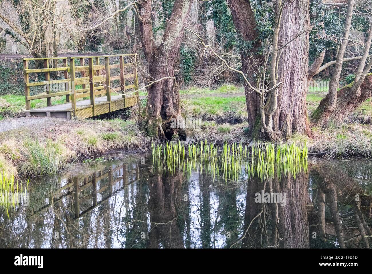 Llanilar Vicarage Lake, progetto comunitario, migliorato, desolato, in, villaggio di Llanilar, Ceredigion. Il lago ha un sacco di fauna selvatica e un grande, insetto, bug hotel. Nelle vicinanze si trova lo Ystwyth Trail, un 21 miglia, 34 km, percorso multiuso, utilizzato, da cani escursionisti, escursionisti, ciclisti, joggers, e in parte a cavallo, per i cavalieri. L'ex linea di sentiero collega la città costiera studentesca di Aberystwyth, ON, Cardigan Bay, a Tregaron, entrambi, in Ceredigion. Il sentiero è prevalentemente lungo il fiume Ystwtyh. Fotografia scattata tra il villaggio di Llanilar e Transgoed,rurale,campagna,scenario,Ceredigon,Galles,Galles,UK,GB, Foto Stock