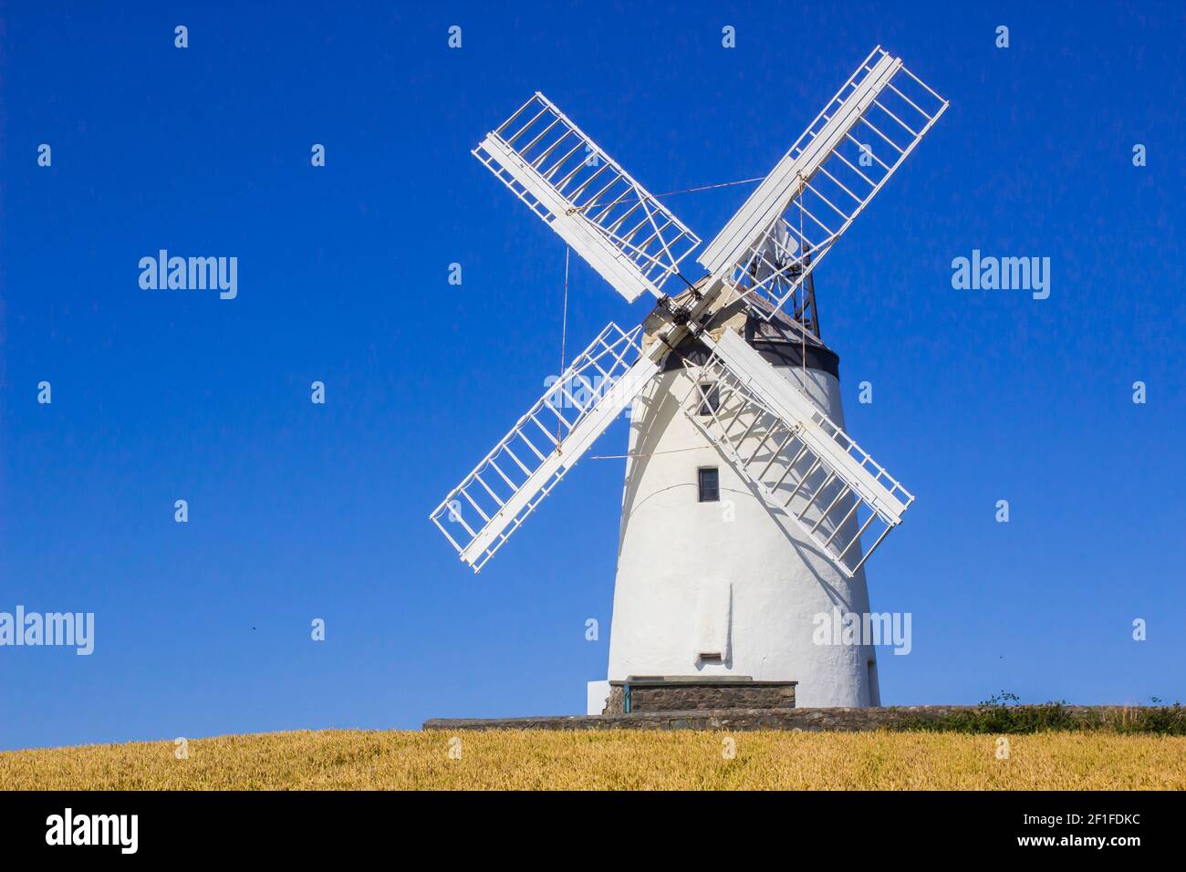Il tradizionale mulino a vento di Ballycopeland in una giornata estiva luminosa. Questa storica torre costruita in pietra è un punto di riferimento locale fuori dalla contea di Millisle Down No Foto Stock
