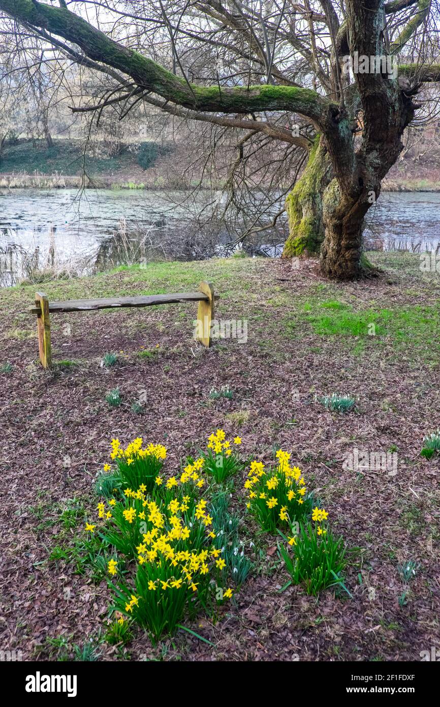 Llanilar Vicarage Lake, progetto comunitario, migliorato, desolato, in, villaggio di Llanilar, Ceredigion. Il lago ha un sacco di fauna selvatica e un grande, insetto, bug hotel. Nelle vicinanze si trova lo Ystwyth Trail, un 21 miglia, 34 km, percorso multiuso, utilizzato, da cani escursionisti, escursionisti, ciclisti, joggers, e in parte a cavallo, per i cavalieri. L'ex linea di sentiero collega la città costiera studentesca di Aberystwyth, ON, Cardigan Bay, a Tregaron, entrambi, in Ceredigion. Il sentiero è prevalentemente lungo il fiume Ystwtyh. Fotografia scattata tra il villaggio di Llanilar e Transgoed,rurale,campagna,scenario,Ceredigon,Galles,Galles,UK,GB, Foto Stock