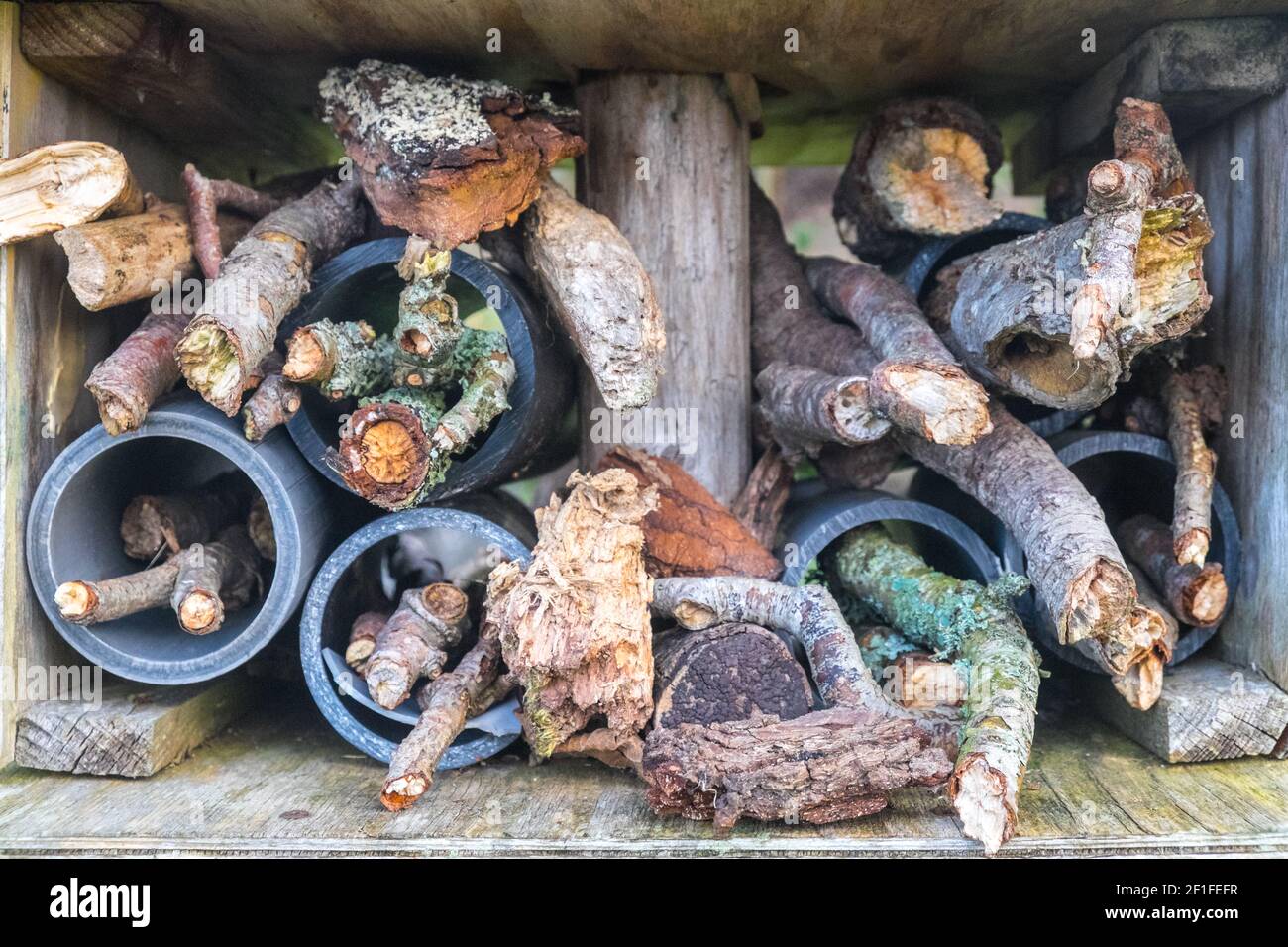 Llanilar Vicarage Lake, progetto comunitario, migliorato, desolato, in, villaggio di Llanilar, Ceredigion. Il lago ha un sacco di fauna selvatica e un grande, insetto, bug hotel. Nelle vicinanze si trova lo Ystwyth Trail, un 21 miglia, 34 km, percorso multiuso, utilizzato, da cani escursionisti, escursionisti, ciclisti, joggers, e in parte a cavallo, per i cavalieri. L'ex linea di sentiero collega la città costiera studentesca di Aberystwyth, ON, Cardigan Bay, a Tregaron, entrambi, in Ceredigion. Il sentiero è prevalentemente lungo il fiume Ystwtyh. Fotografia scattata tra il villaggio di Llanilar e Transgoed,rurale,campagna,scenario,Ceredigon,Galles,Galles,UK,GB, Foto Stock