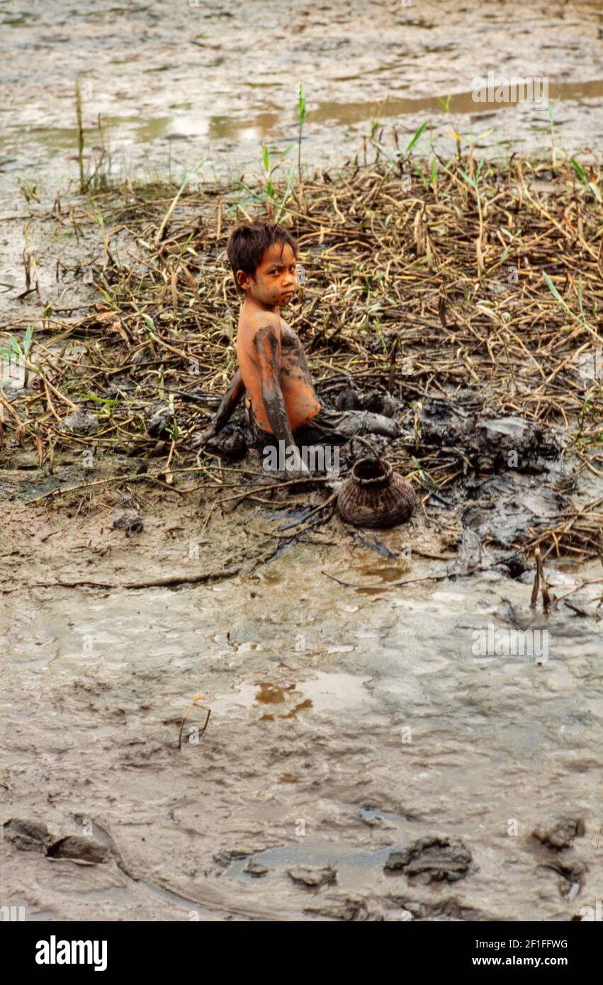 Un ragazzo nel fango profondo della risata della sua famiglia a caccia di granchi, rurale del sud del Vietnam, giugno 1980 Foto Stock