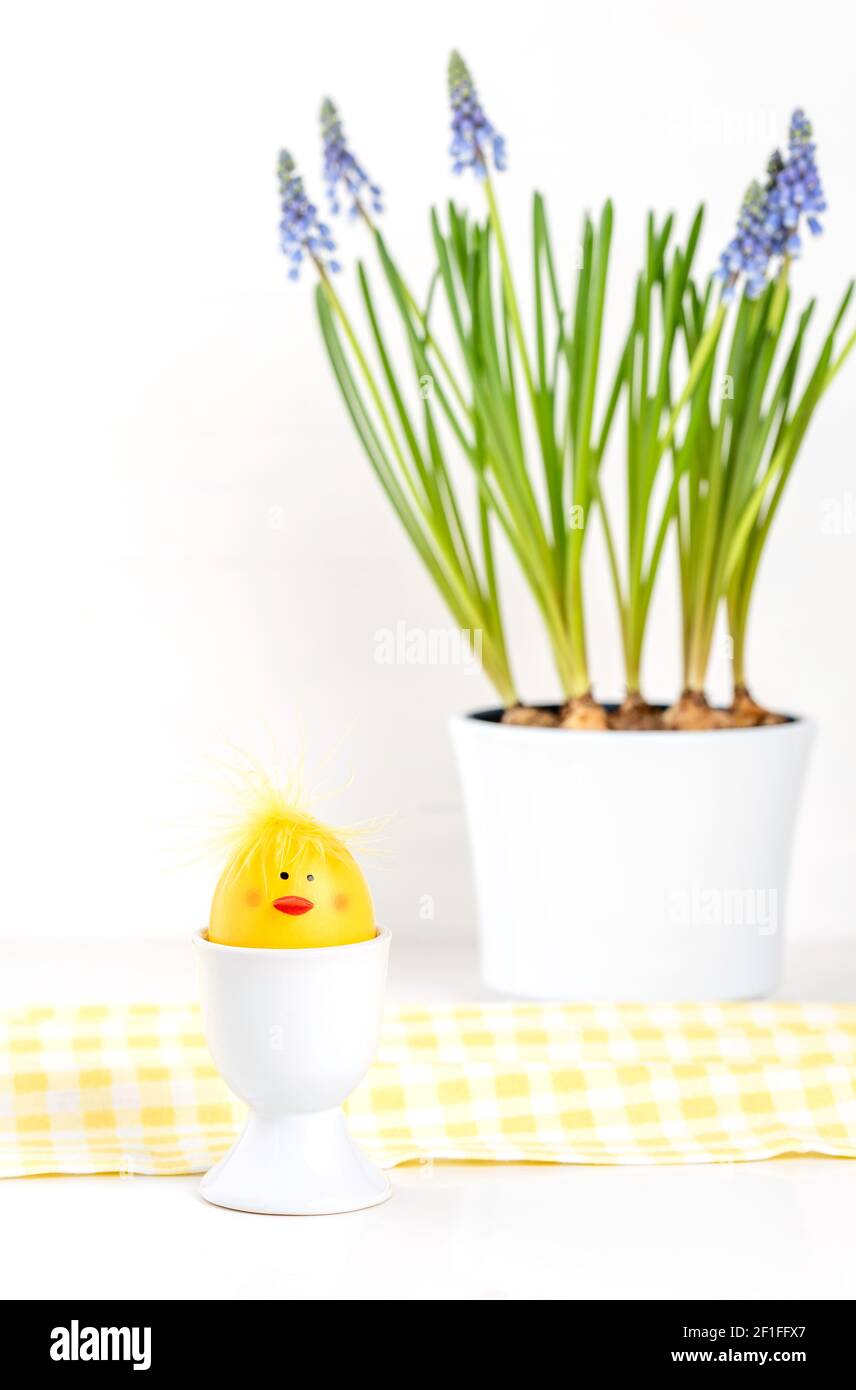 Carino uovo di Pasqua dipinto come piccolo pulcino giallo nel porta-uovo in primo piano. Vaso di fiori con giacinti d'uva sullo sfondo. Foto Stock