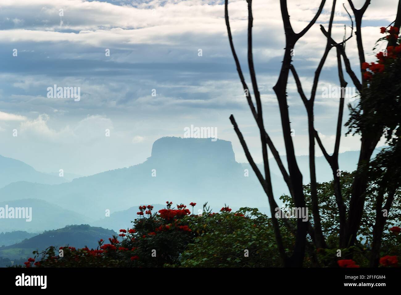 Table Rock (mesa) sull'altopiano centrale dello Sri Lanka nella foresta pluviale. Il mondo perduto Foto Stock