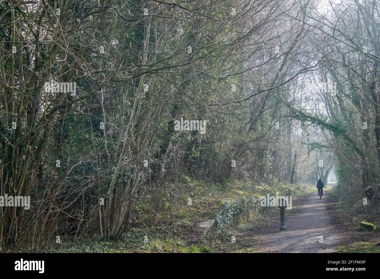 Lo Ystwyth Trail, un 21 miglia, 34 km, percorso multiuso, utilizzato, da cani escursionisti, escursionisti, escursionisti, ciclisti, joggers, e parte cavallo briddway, per i cavalieri. L'ex linea di sentiero collega la città costiera studentesca di Aberystwyth, ON, Cardigan Bay, a Tregaron, entrambi, in Ceredigion. Il sentiero è prevalentemente lungo il fiume Ystwtyh. Fotografia scattata tra il villaggio di Llanilar e Transgoed,rurale,campagna,scenario,Ceredigon,Galles,Galles,UK,GB, Foto Stock