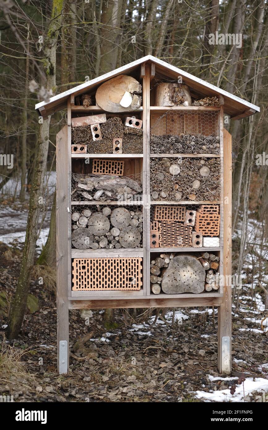 Insect House nella Spring Forest.Ecologia e concetto di conservazione della natura. Attenzione all'ambiente. Foto Stock