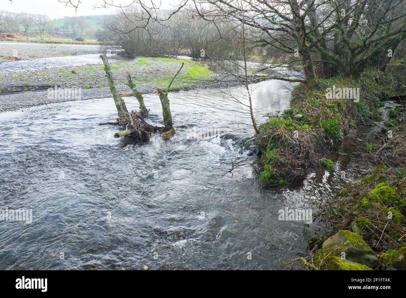 Lo Ystwyth Trail, un 21 miglia, 34 km, percorso multiuso, utilizzato, da cani escursionisti, escursionisti, escursionisti, ciclisti, joggers, e parte cavallo briddway, per i cavalieri. L'ex linea di sentiero collega la città costiera studentesca di Aberystwyth, ON, Cardigan Bay, a Tregaron, entrambi, in Ceredigion. Il sentiero è prevalentemente lungo il fiume Ystwtyh. Fotografia scattata tra il villaggio di Llanilar e Transgoed,rurale,campagna,scenario,Ceredigon,Galles,Galles,UK,GB, Foto Stock