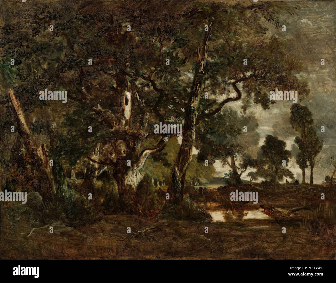 Théodore Rousseau (francese - Foresta di Fontainebleau, cluster di alberi alti che domina la pianura di Clair-Bois al bordo di Ba... Foto Stock