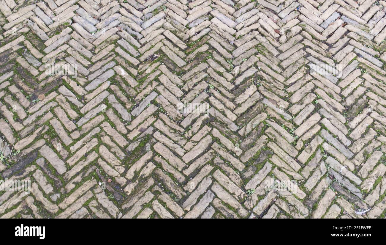 Vecchio percorso dell'asfaltatrice. Foto Stock