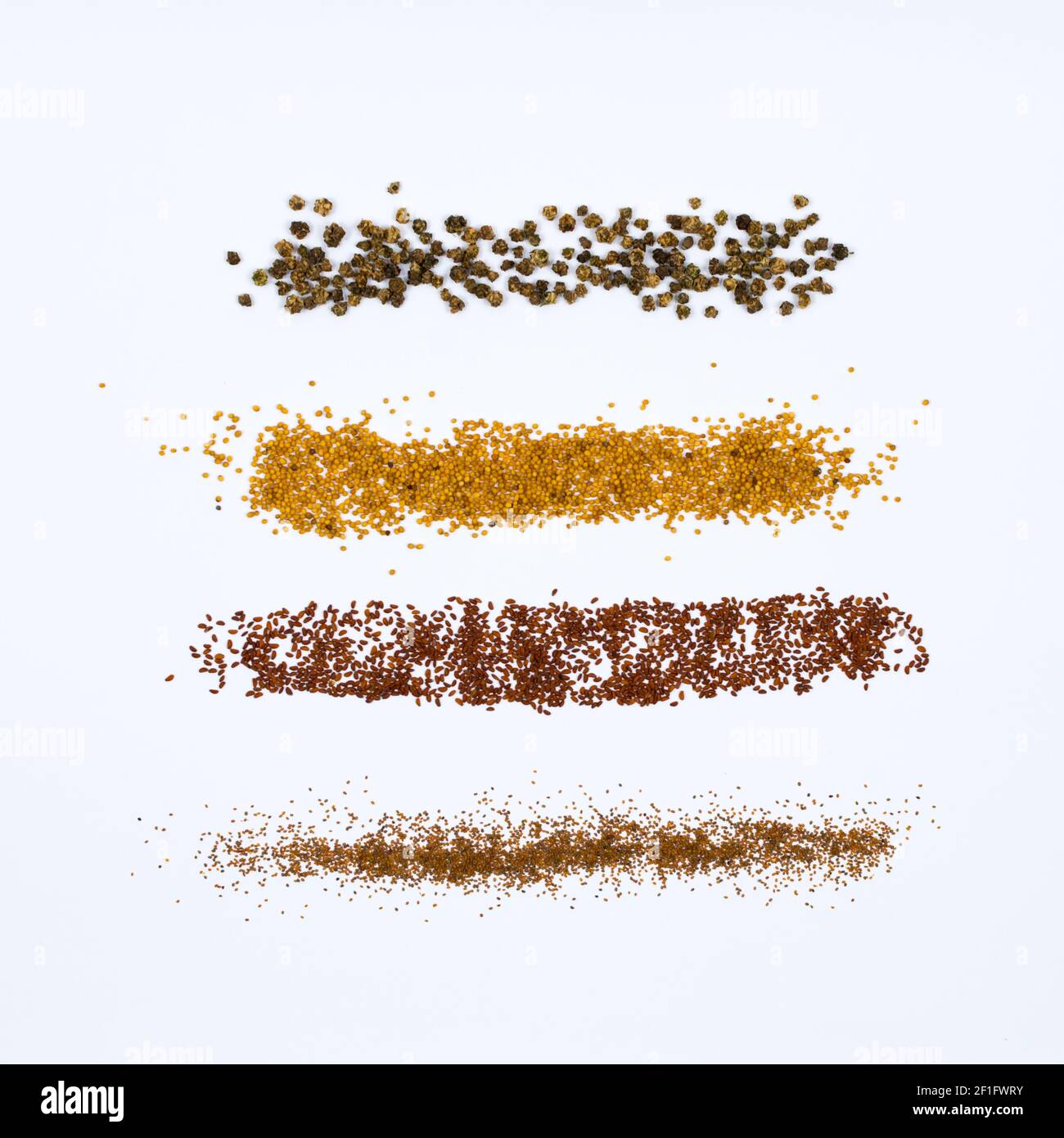 Semi sparsi su un tavolo bianco dalla parte superiore alla parte inferiore del telaio. Semi di micro verde di barbabietola, senape, amaranto, lattuga. Foto Stock