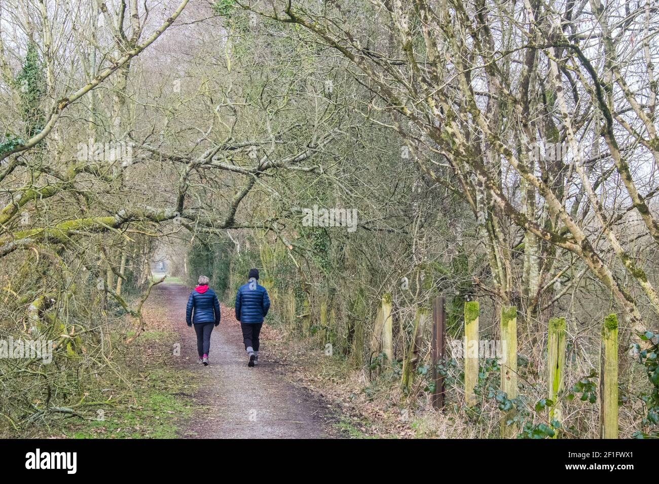 Lo Ystwyth Trail, un 21 miglia, 34 km, percorso multiuso, utilizzato, da cani escursionisti, escursionisti, escursionisti, ciclisti, joggers, e parte cavallo briddway, per i cavalieri. L'ex linea di sentiero collega la città costiera studentesca di Aberystwyth, ON, Cardigan Bay, a Tregaron, entrambi, in Ceredigion. Il sentiero è prevalentemente lungo il fiume Ystwtyh. Fotografia scattata tra il villaggio di Llanilar e Transgoed,rurale,campagna,scenario,Ceredigon,Galles,Galles,UK,GB, Foto Stock