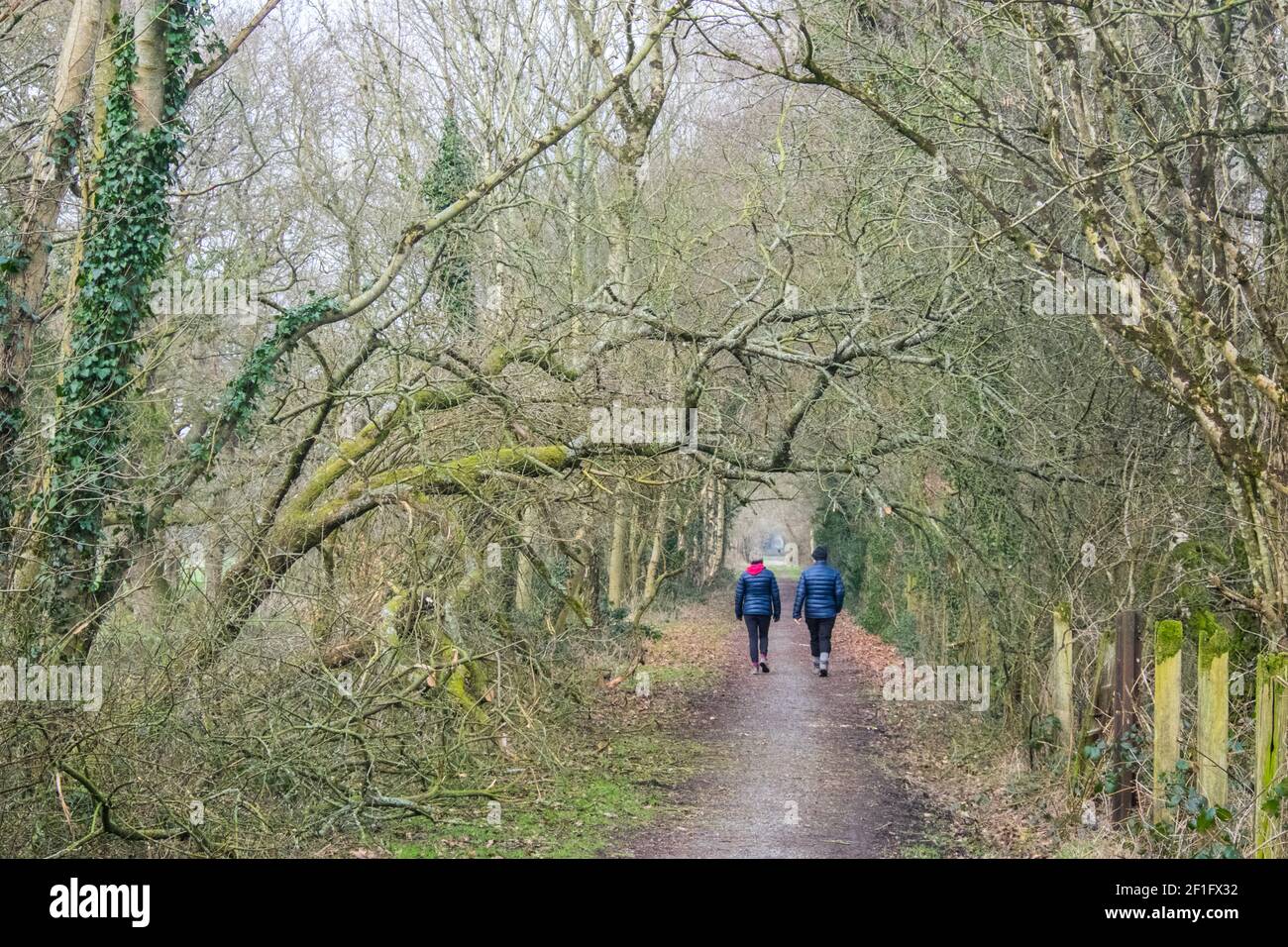 Lo Ystwyth Trail, un 21 miglia, 34 km, percorso multiuso, utilizzato, da cani escursionisti, escursionisti, escursionisti, ciclisti, joggers, e parte cavallo briddway, per i cavalieri. L'ex linea di sentiero collega la città costiera studentesca di Aberystwyth, ON, Cardigan Bay, a Tregaron, entrambi, in Ceredigion. Il sentiero è prevalentemente lungo il fiume Ystwtyh. Fotografia scattata tra il villaggio di Llanilar e Transgoed,rurale,campagna,scenario,Ceredigon,Galles,Galles,UK,GB, Foto Stock