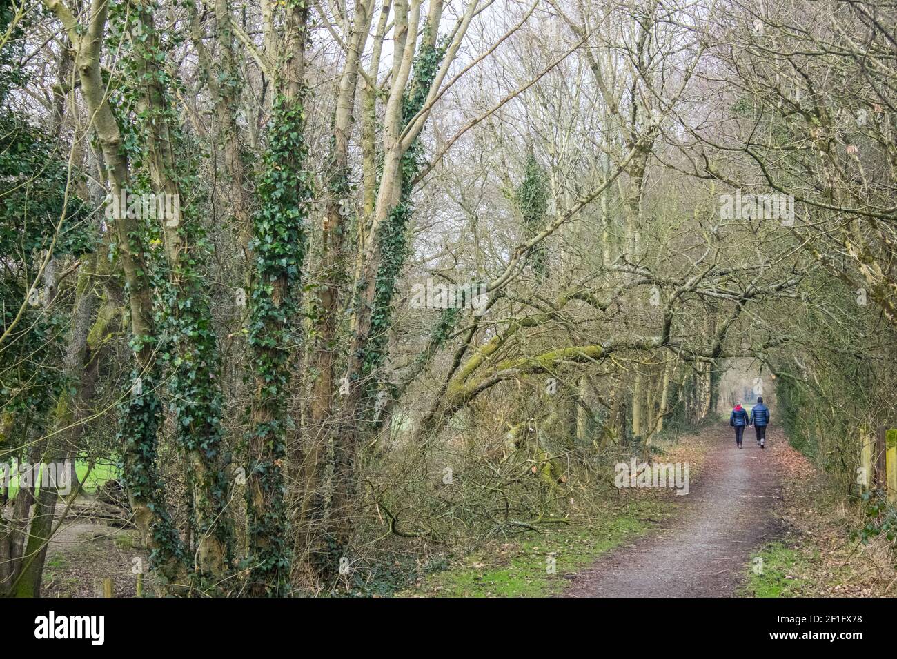 Lo Ystwyth Trail, un 21 miglia, 34 km, percorso multiuso, utilizzato, da cani escursionisti, escursionisti, escursionisti, ciclisti, joggers, e parte cavallo briddway, per i cavalieri. L'ex linea di sentiero collega la città costiera studentesca di Aberystwyth, ON, Cardigan Bay, a Tregaron, entrambi, in Ceredigion. Il sentiero è prevalentemente lungo il fiume Ystwtyh. Fotografia scattata tra il villaggio di Llanilar e Transgoed,rurale,campagna,scenario,Ceredigon,Galles,Galles,UK,GB, Foto Stock