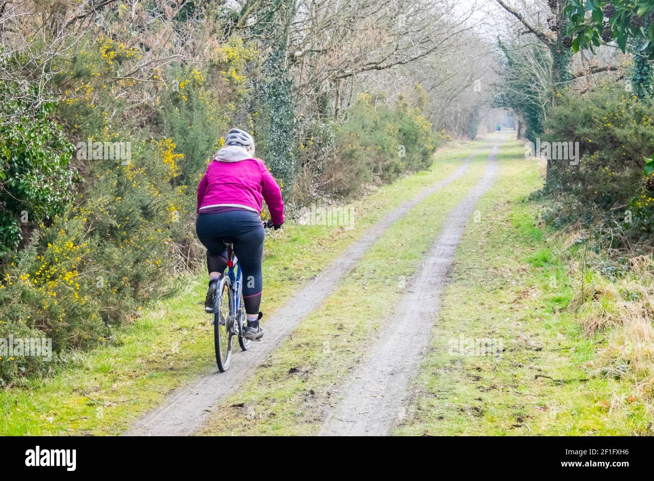 Lo Ystwyth Trail, un 21 miglia, 34 km, percorso multiuso, utilizzato, da cani escursionisti, escursionisti, escursionisti, ciclisti, joggers, e parte cavallo briddway, per i cavalieri. L'ex linea di sentiero collega la città costiera studentesca di Aberystwyth, ON, Cardigan Bay, a Tregaron, entrambi, in Ceredigion. Il sentiero è prevalentemente lungo il fiume Ystwtyh. Fotografia scattata tra il villaggio di Llanilar e Transgoed,rurale,campagna,scenario,Ceredigon,Galles,Galles,UK,GB, Foto Stock