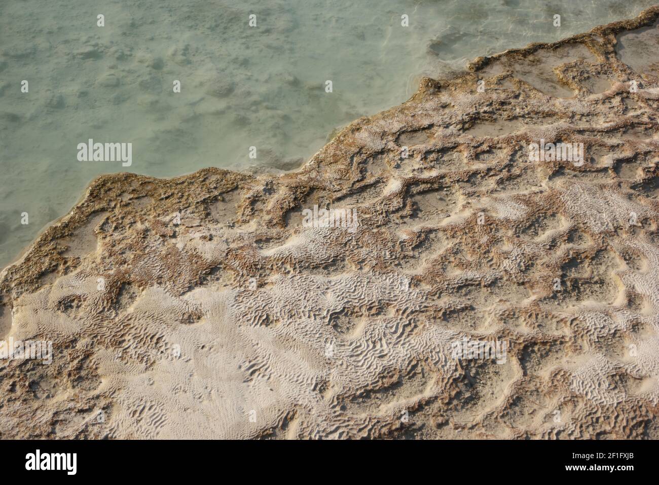 Depositi minerali di carbonato di calcio di fondo. Foto Stock