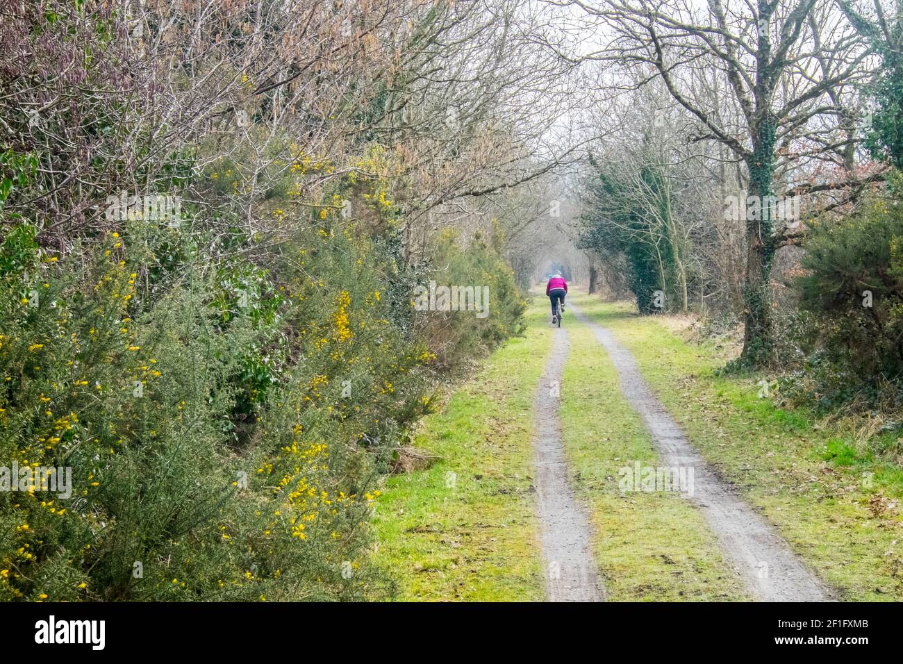 Lo Ystwyth Trail, un 21 miglia, 34 km, percorso multiuso, utilizzato, da cani escursionisti, escursionisti, escursionisti, ciclisti, joggers, e parte cavallo briddway, per i cavalieri. L'ex linea di sentiero collega la città costiera studentesca di Aberystwyth, ON, Cardigan Bay, a Tregaron, entrambi, in Ceredigion. Il sentiero è prevalentemente lungo il fiume Ystwtyh. Fotografia scattata tra il villaggio di Llanilar e Transgoed,rurale,campagna,scenario,Ceredigon,Galles,Galles,UK,GB, Foto Stock