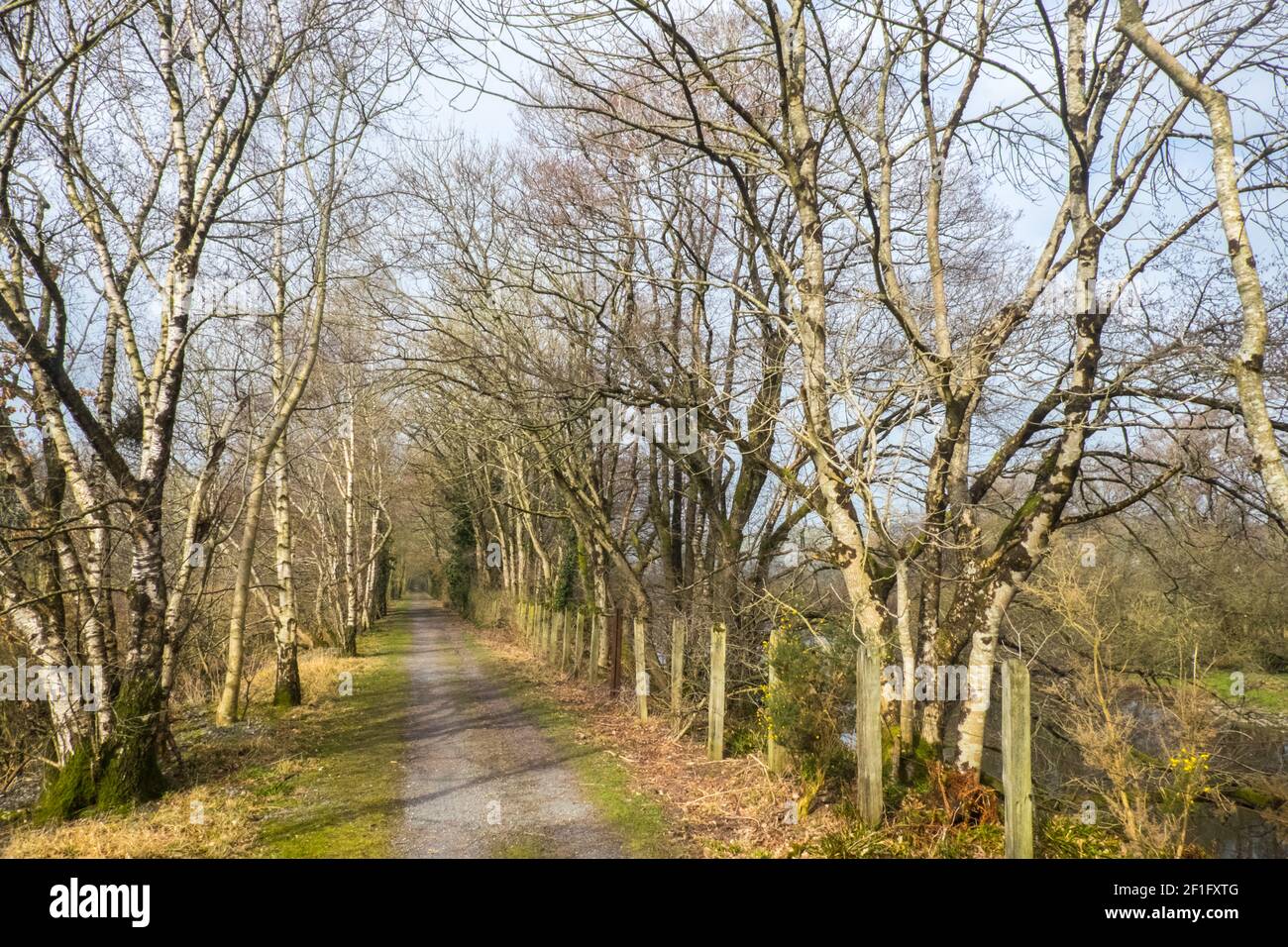 Lo Ystwyth Trail, un 21 miglia, 34 km, percorso multiuso, utilizzato, da cani escursionisti, escursionisti, escursionisti, ciclisti, joggers, e parte cavallo briddway, per i cavalieri. L'ex linea di sentiero collega la città costiera studentesca di Aberystwyth, ON, Cardigan Bay, a Tregaron, entrambi, in Ceredigion. Il sentiero è prevalentemente lungo il fiume Ystwtyh. Fotografia scattata tra il villaggio di Llanilar e Transgoed,rurale,campagna,scenario,Ceredigon,Galles,Galles,UK,GB, Foto Stock