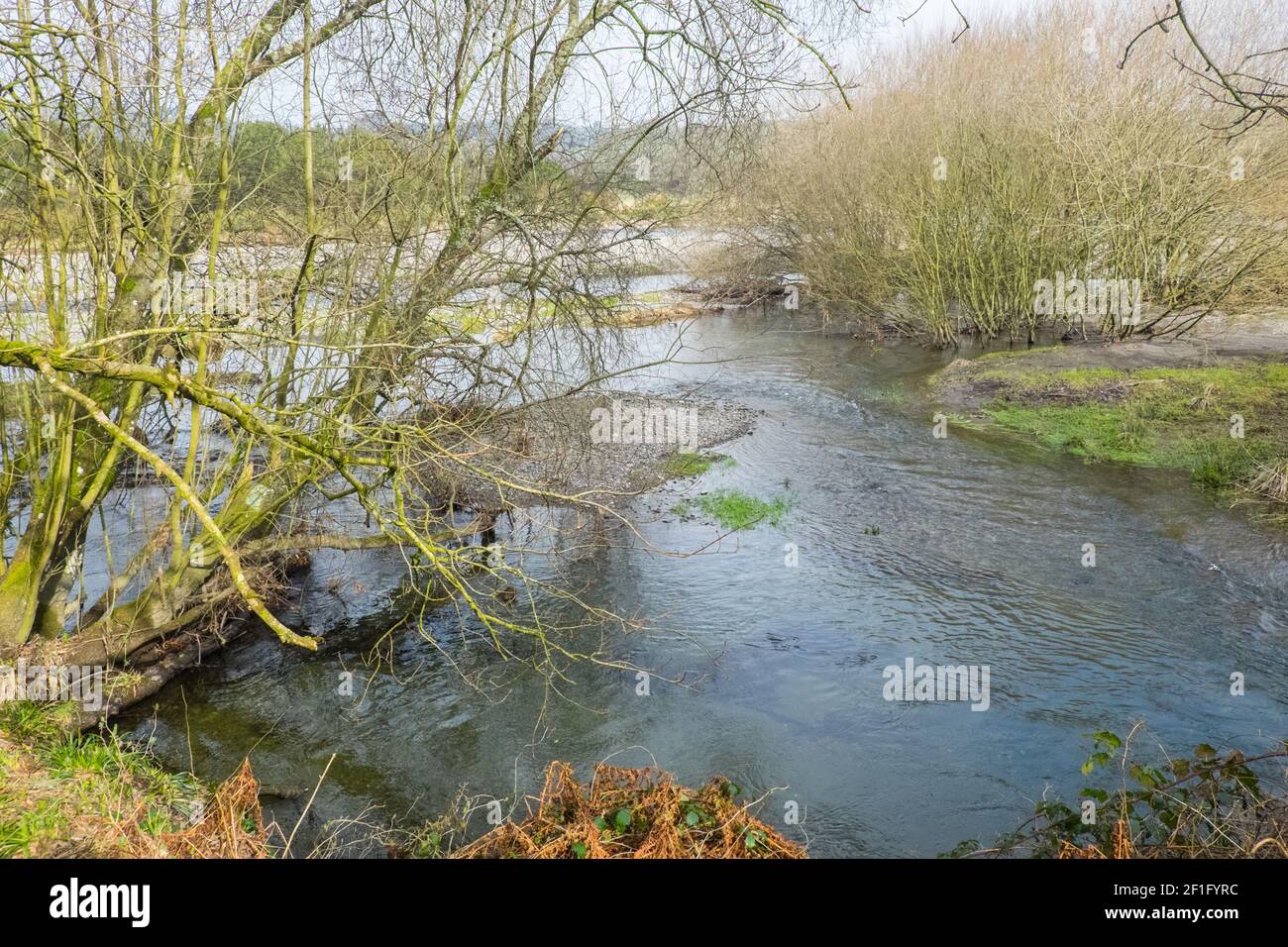 Lo Ystwyth Trail, un 21 miglia, 34 km, percorso multiuso, utilizzato, da cani escursionisti, escursionisti, escursionisti, ciclisti, joggers, e parte cavallo briddway, per i cavalieri. L'ex linea di sentiero collega la città costiera studentesca di Aberystwyth, ON, Cardigan Bay, a Tregaron, entrambi, in Ceredigion. Il sentiero è prevalentemente lungo il fiume Ystwtyh. Fotografia scattata tra il villaggio di Llanilar e Transgoed,rurale,campagna,scenario,Ceredigon,Galles,Galles,UK,GB, Foto Stock