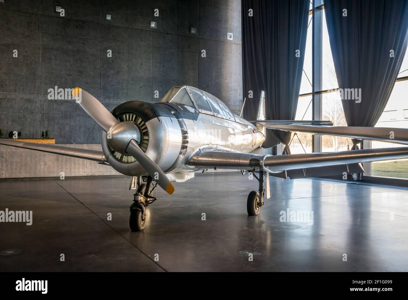 PZL TS-8 Bies - Museo dell'aviazione polacca, Cracovia, Polonia, Europa Foto Stock