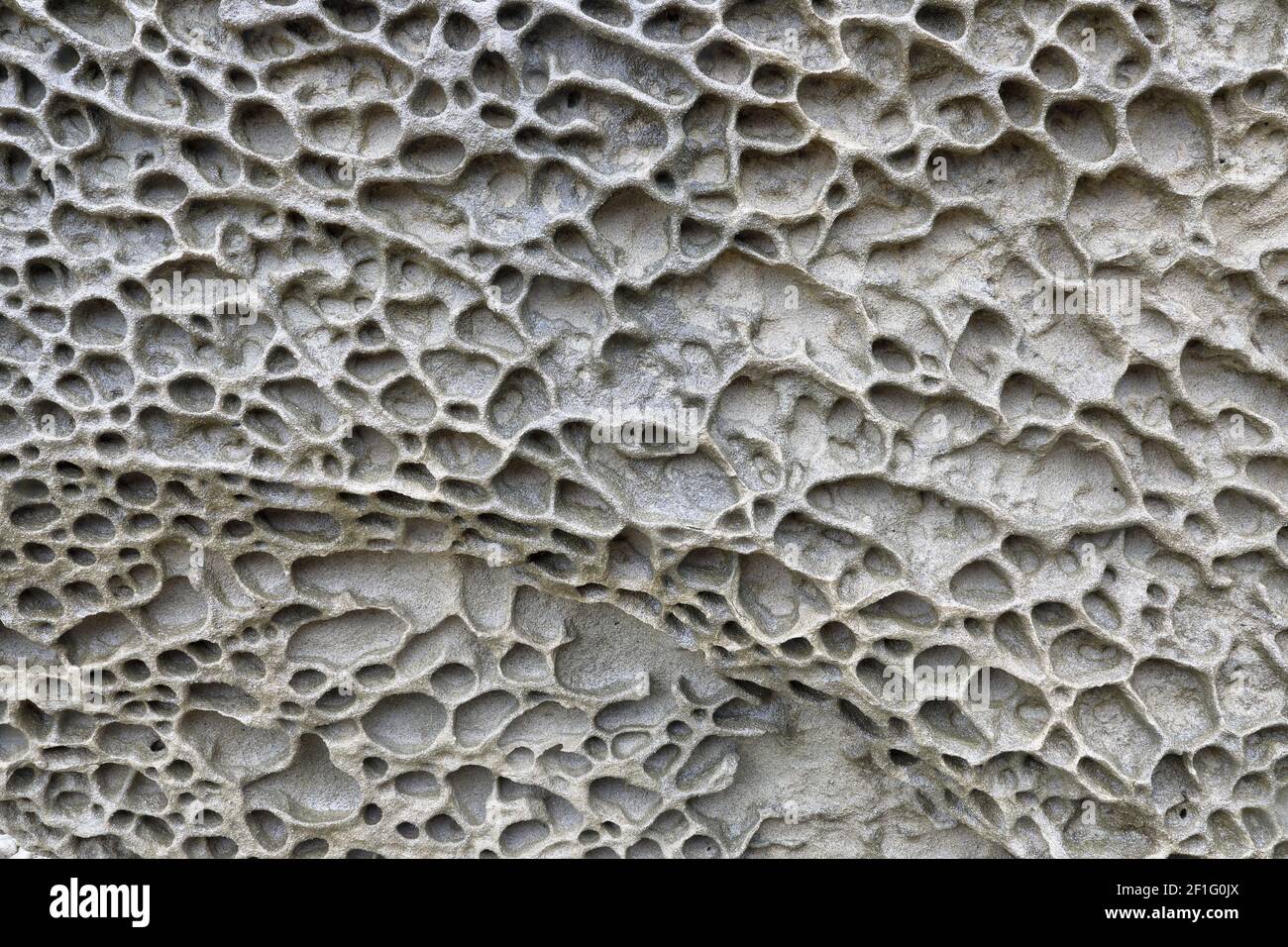 Particolare della formazione di rocce di arenaria di tafoni, Salt Point state Park, Sonoma County, California Foto Stock
