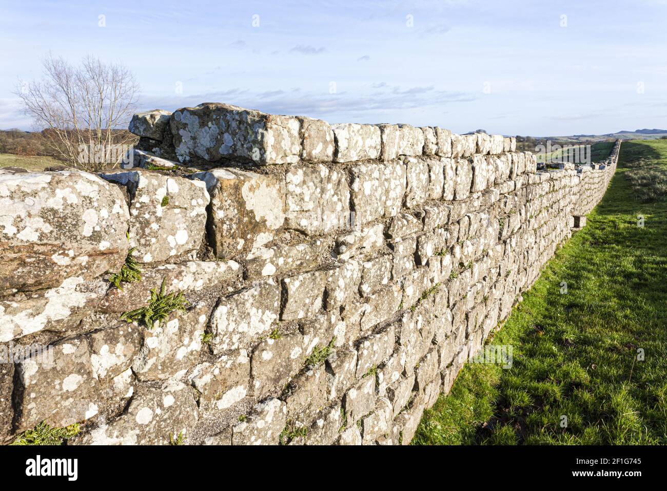 Il Muro di Adriano che corre verso est dal Forte romano di Birdoswald (Cambogia), Cumbria UK Foto Stock