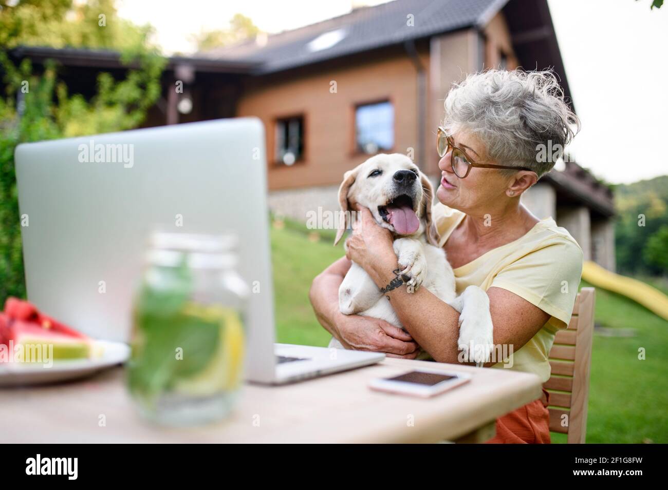 Donna anziana felice con laptop e cane che lavora all'aperto in giardino, concetto di home Office. Foto Stock