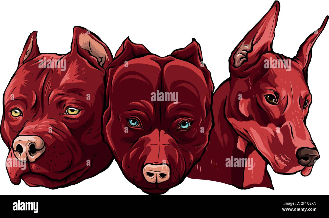 Teste di cani pitbull dobermann vettore bulldog Illustrazione Vettoriale