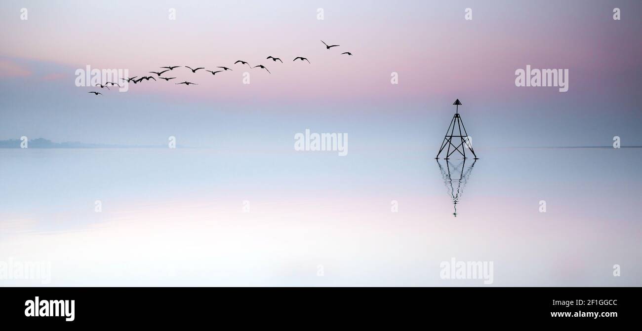 Il Cardinale marcatore sul Loughor estuario Foto Stock