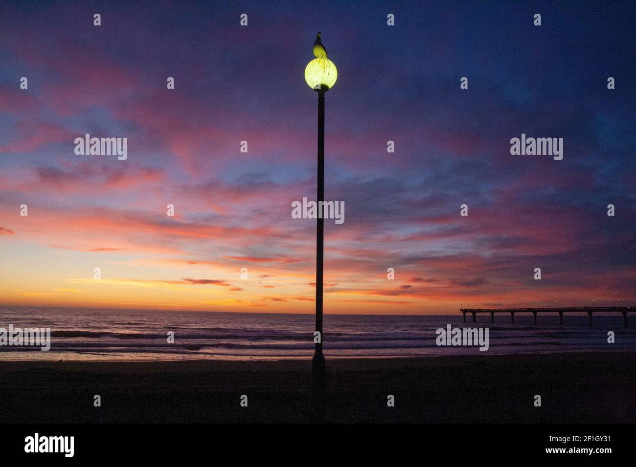 Lampione con gabbiano al crepuscolo a New Brighton, Christchurch nuova Zelanda Foto Stock