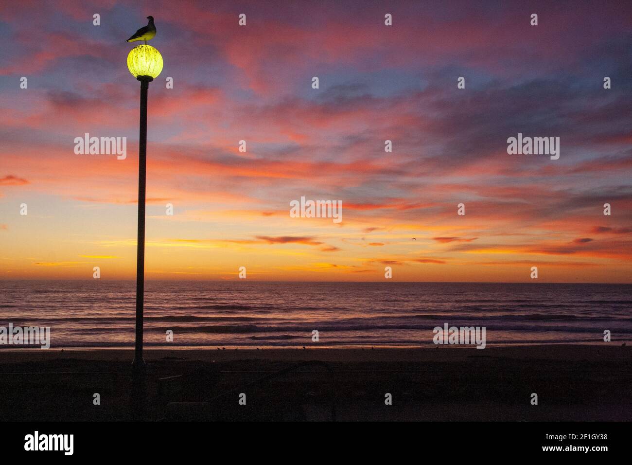 Crepuscolo colorato proprio prima dell'alba sull'orizzonte dell'Oceano Pacifico, Seagul alla lampada da strada, Dawn a New Brighton Beach, Christchurch in Nuova Zelanda Foto Stock