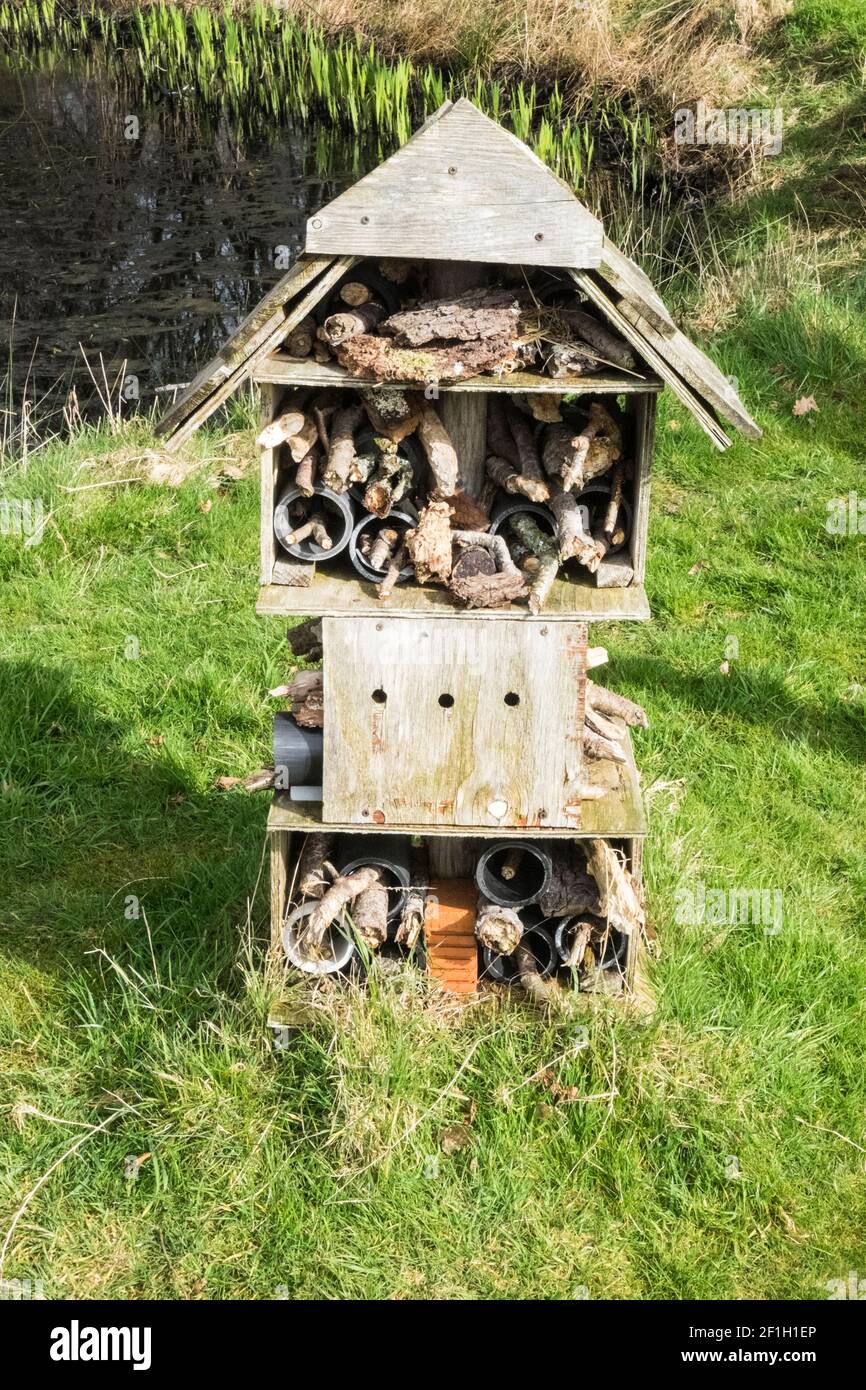 Llanilar Vicarage Lake, progetto comunitario, migliorato, desolato, in, villaggio di Llanilar, Ceredigion. Il lago ha un sacco di fauna selvatica e un grande, insetto, bug hotel. Nelle vicinanze si trova lo Ystwyth Trail, un 21 miglia, 34 km, percorso multiuso, utilizzato, da cani escursionisti, escursionisti, ciclisti, joggers, e in parte a cavallo, per i cavalieri. L'ex linea di sentiero collega la città costiera studentesca di Aberystwyth, ON, Cardigan Bay, a Tregaron, entrambi, in Ceredigion. Il sentiero è prevalentemente lungo il fiume Ystwtyh. Fotografia scattata tra il villaggio di Llanilar e Transgoed,rurale,campagna,scenario,Ceredigon,Galles,Galles,UK,GB, Foto Stock