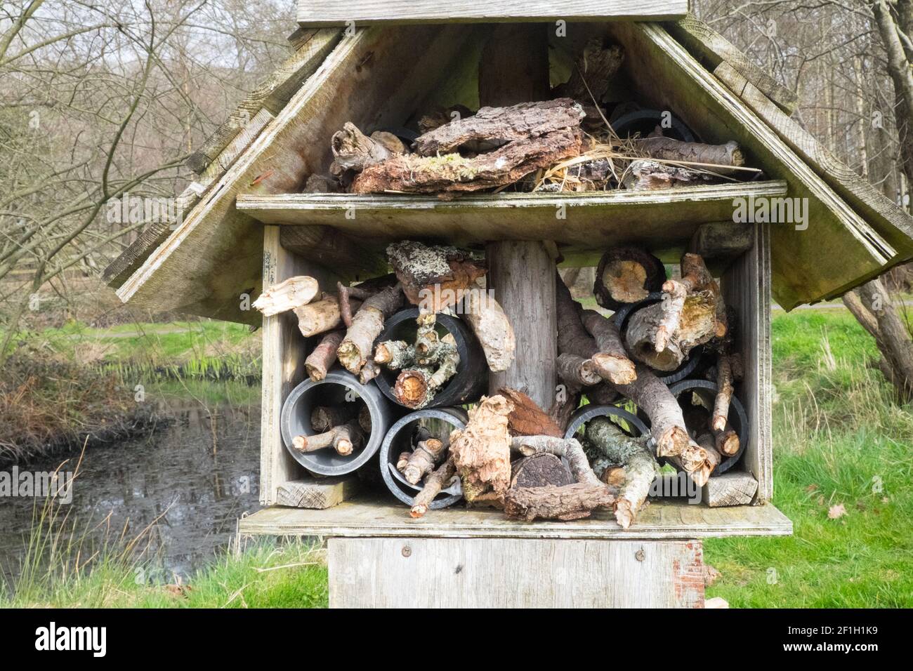 Llanilar Vicarage Lake, progetto comunitario, migliorato, desolato, in, villaggio di Llanilar, Ceredigion. Il lago ha un sacco di fauna selvatica e un grande, insetto, bug hotel. Nelle vicinanze si trova lo Ystwyth Trail, un 21 miglia, 34 km, percorso multiuso, utilizzato, da cani escursionisti, escursionisti, ciclisti, joggers, e in parte a cavallo, per i cavalieri. L'ex linea di sentiero collega la città costiera studentesca di Aberystwyth, ON, Cardigan Bay, a Tregaron, entrambi, in Ceredigion. Il sentiero è prevalentemente lungo il fiume Ystwtyh. Fotografia scattata tra il villaggio di Llanilar e Transgoed,rurale,campagna,scenario,Ceredigon,Galles,Galles,UK,GB, Foto Stock