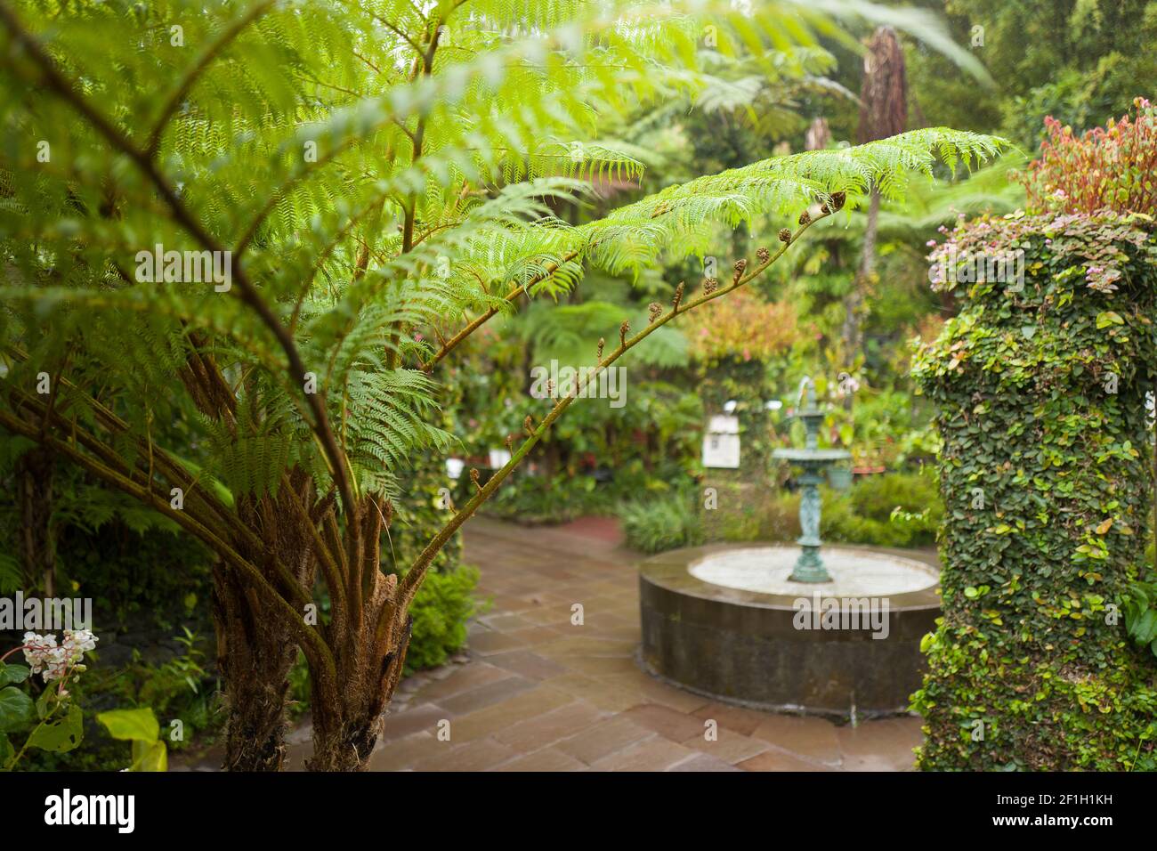 Hell-Bourg - Viaggiare sull'isola di la Réunion Foto Stock