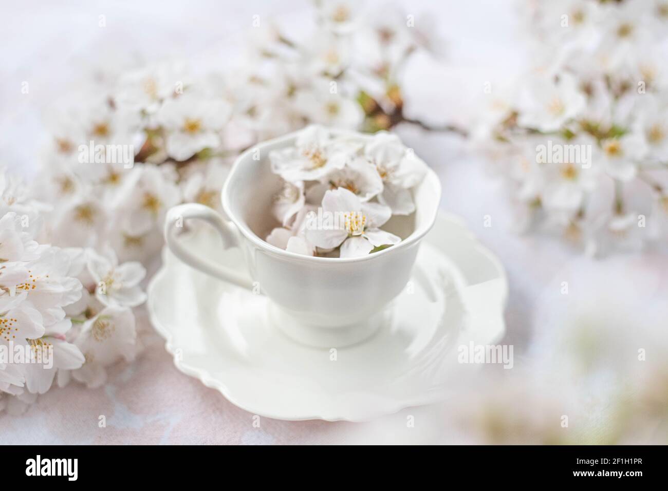 tazza di caffè bianca piena di fiori di primavera Foto Stock