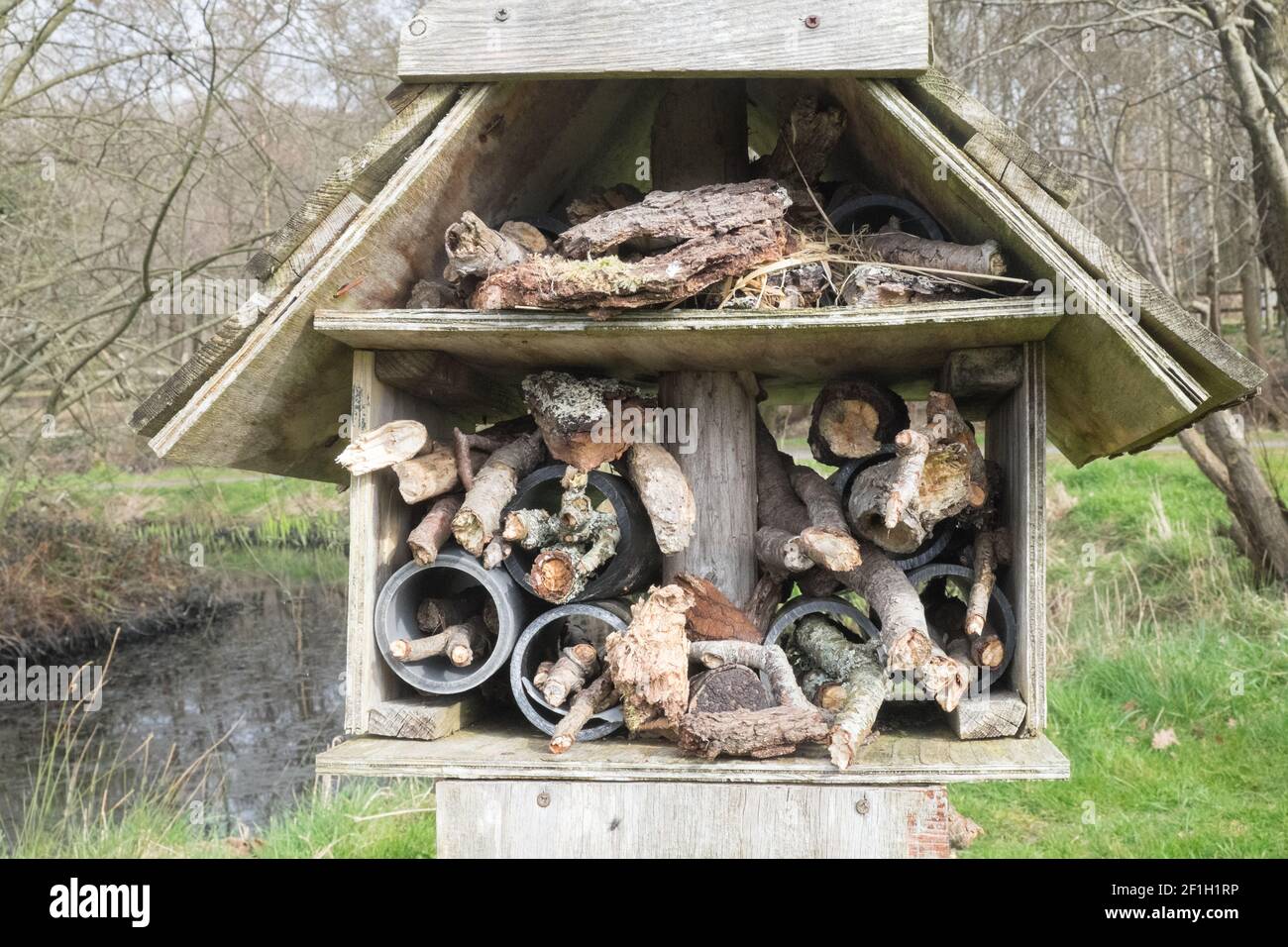 Llanilar Vicarage Lake, progetto comunitario, migliorato, desolato, in, villaggio di Llanilar, Ceredigion. Il lago ha un sacco di fauna selvatica e un grande, insetto, bug hotel. Nelle vicinanze si trova lo Ystwyth Trail, un 21 miglia, 34 km, percorso multiuso, utilizzato, da cani escursionisti, escursionisti, ciclisti, joggers, e in parte a cavallo, per i cavalieri. L'ex linea di sentiero collega la città costiera studentesca di Aberystwyth, ON, Cardigan Bay, a Tregaron, entrambi, in Ceredigion. Il sentiero è prevalentemente lungo il fiume Ystwtyh. Fotografia scattata tra il villaggio di Llanilar e Transgoed,rurale,campagna,scenario,Ceredigon,Galles,Galles,UK,GB, Foto Stock