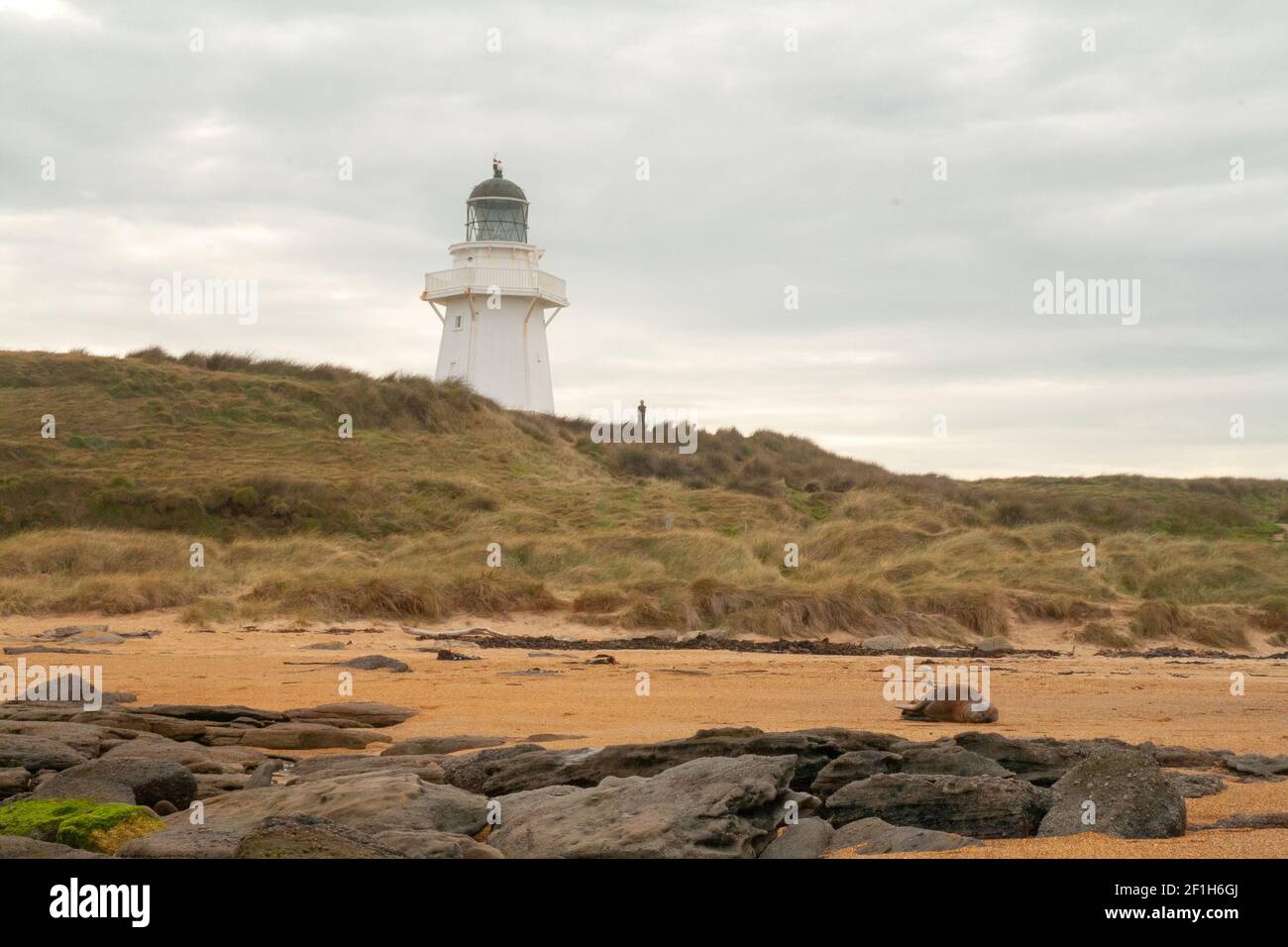 Faro di Waipata Point, punto turistico per osservare i leoni marini, la spiaggia dell'Oceano Pacifico meridionale, i Catlins, Southland, Nuova Zelanda Foto Stock