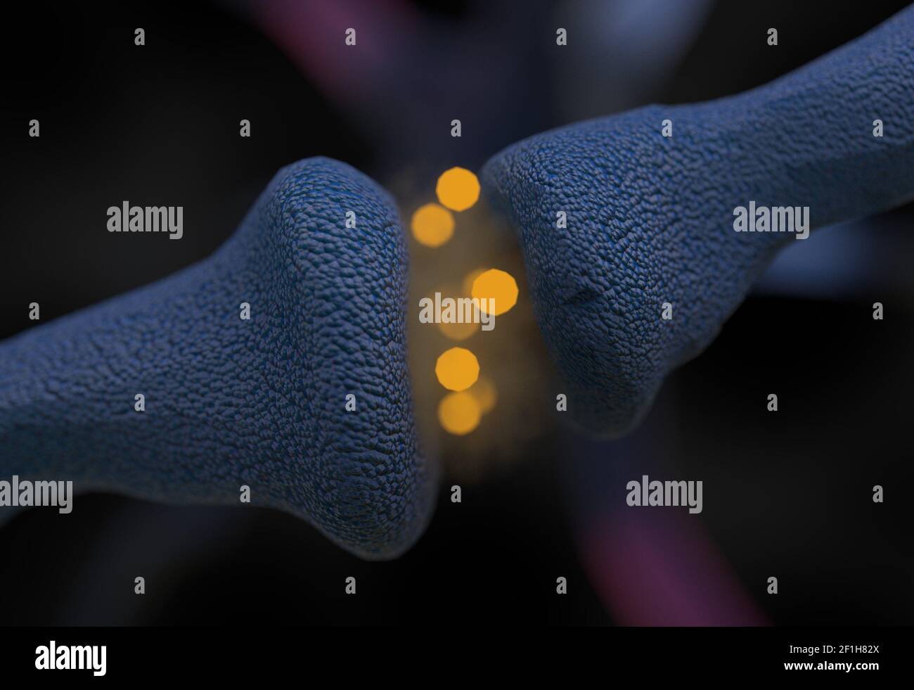 Neurotrasmettitore sinapsi e cellule neurone che inviano segnali elettrici illustrazione 3d Foto Stock