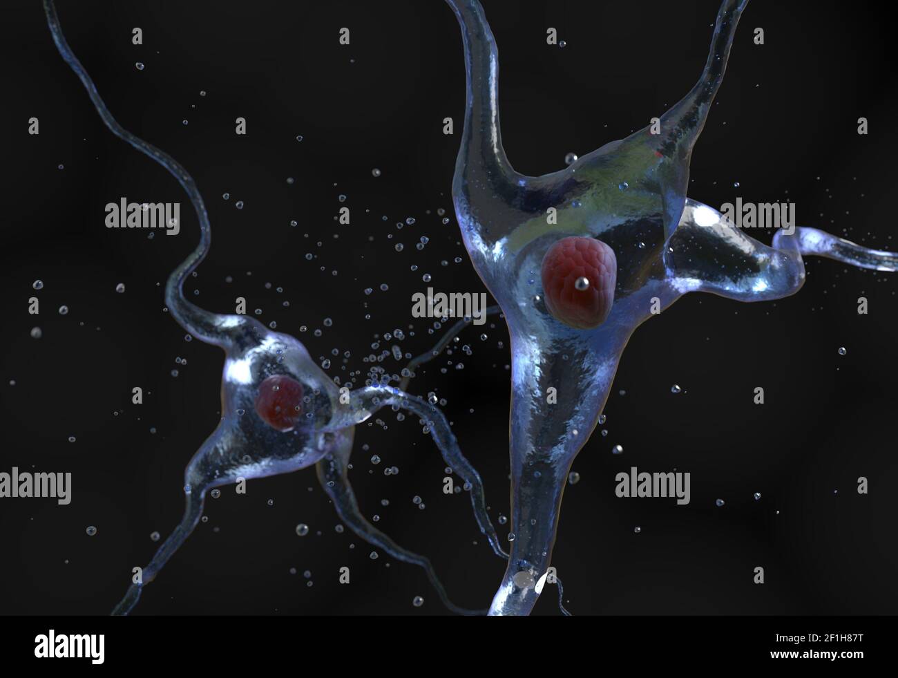 Illustrazione della cellula nervosa umana Foto Stock