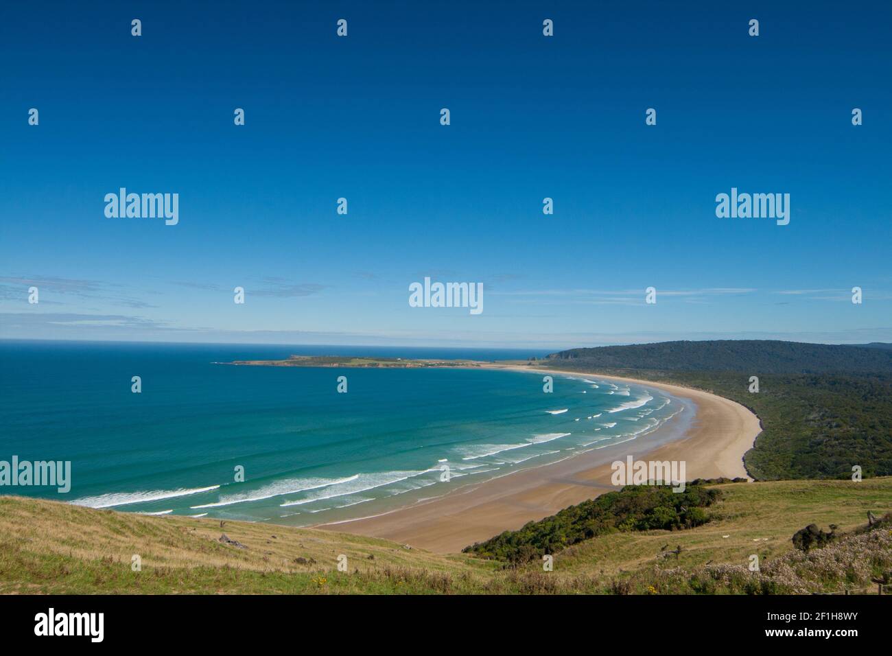 Tautuku Bay view, Pacific Ocean Beach, The Catlins, Southland, Nuova Zelanda Foto Stock
