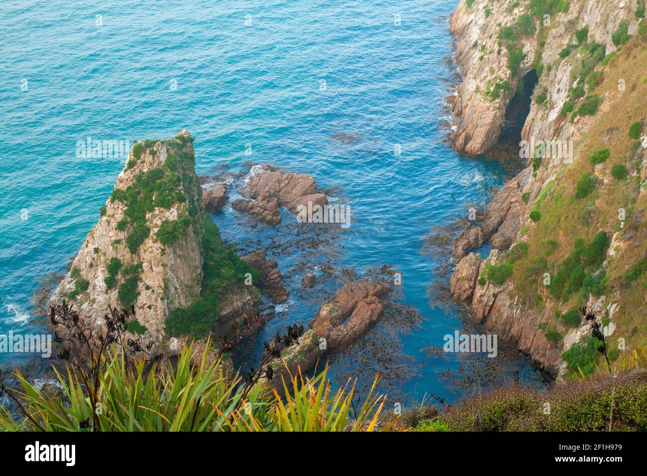 Vista dall'alto della scogliera dell'oceano, splendide acque blu profonde dell'Oceano Pacifico meridionale, i Catlins, Nuova Zelanda Foto Stock