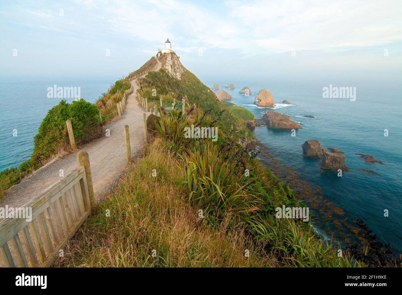 Faro di Nugget Point, Southland Nuova Zelanda Foto Stock