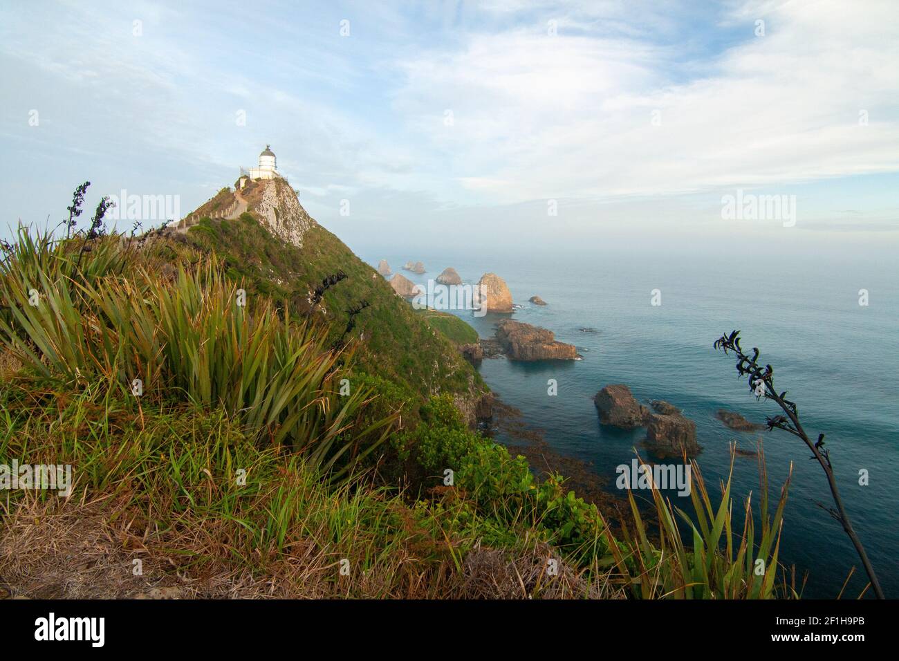 Faro di Nugget Point, Southland Nuova Zelanda Foto Stock